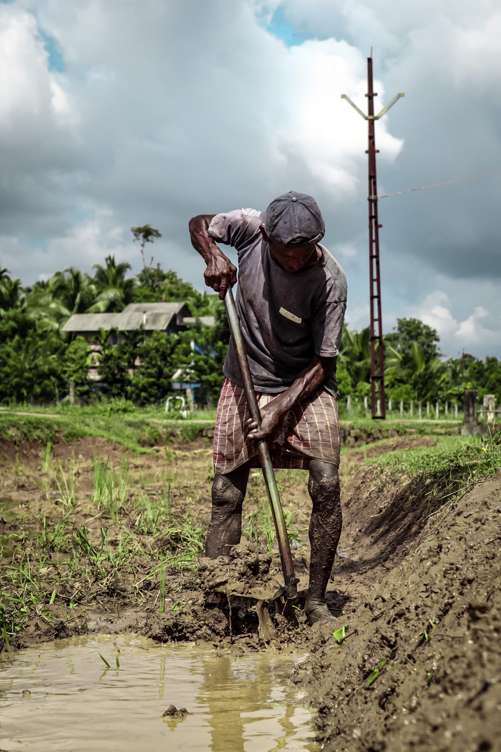 A farmer working in his field