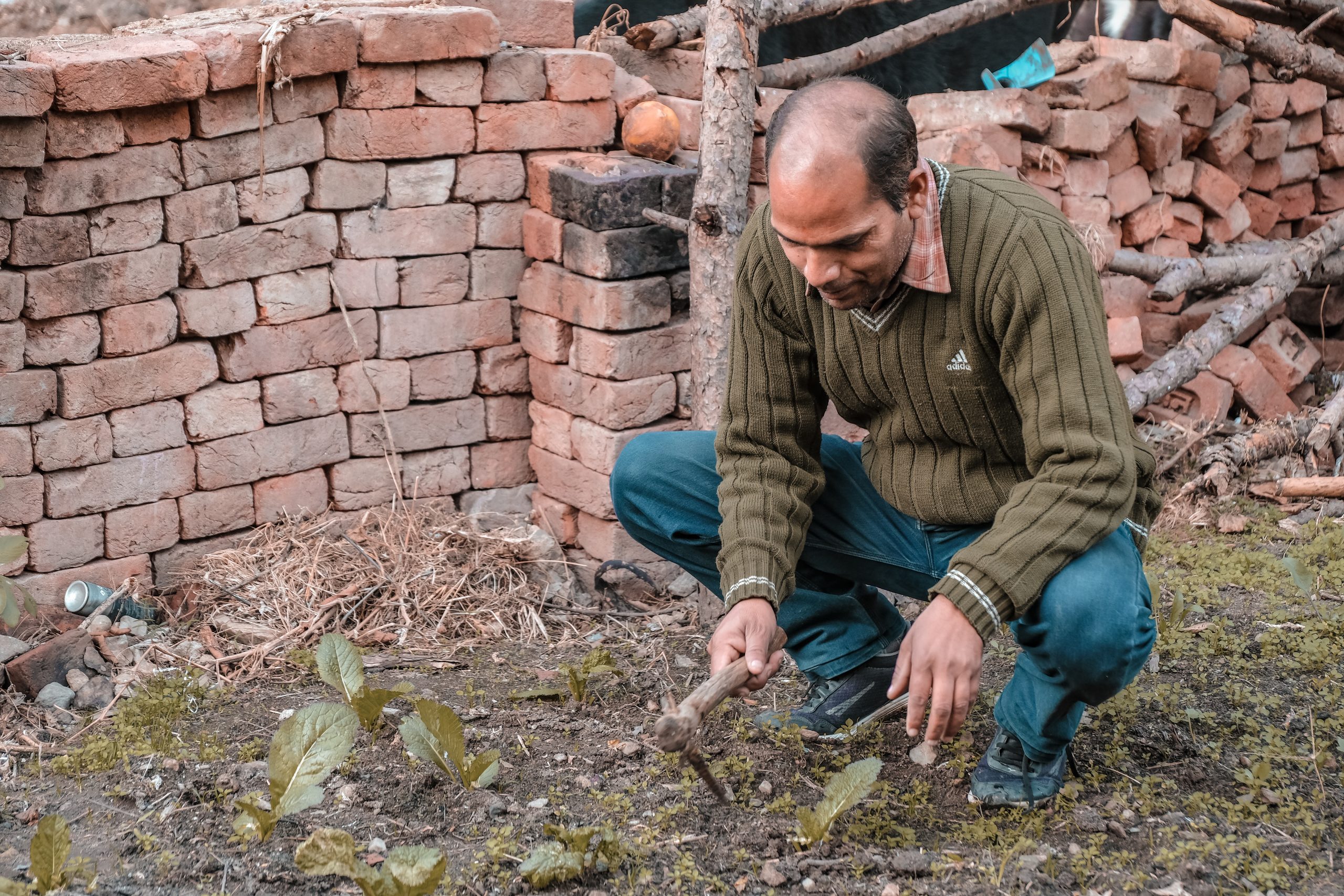 A man working in his field