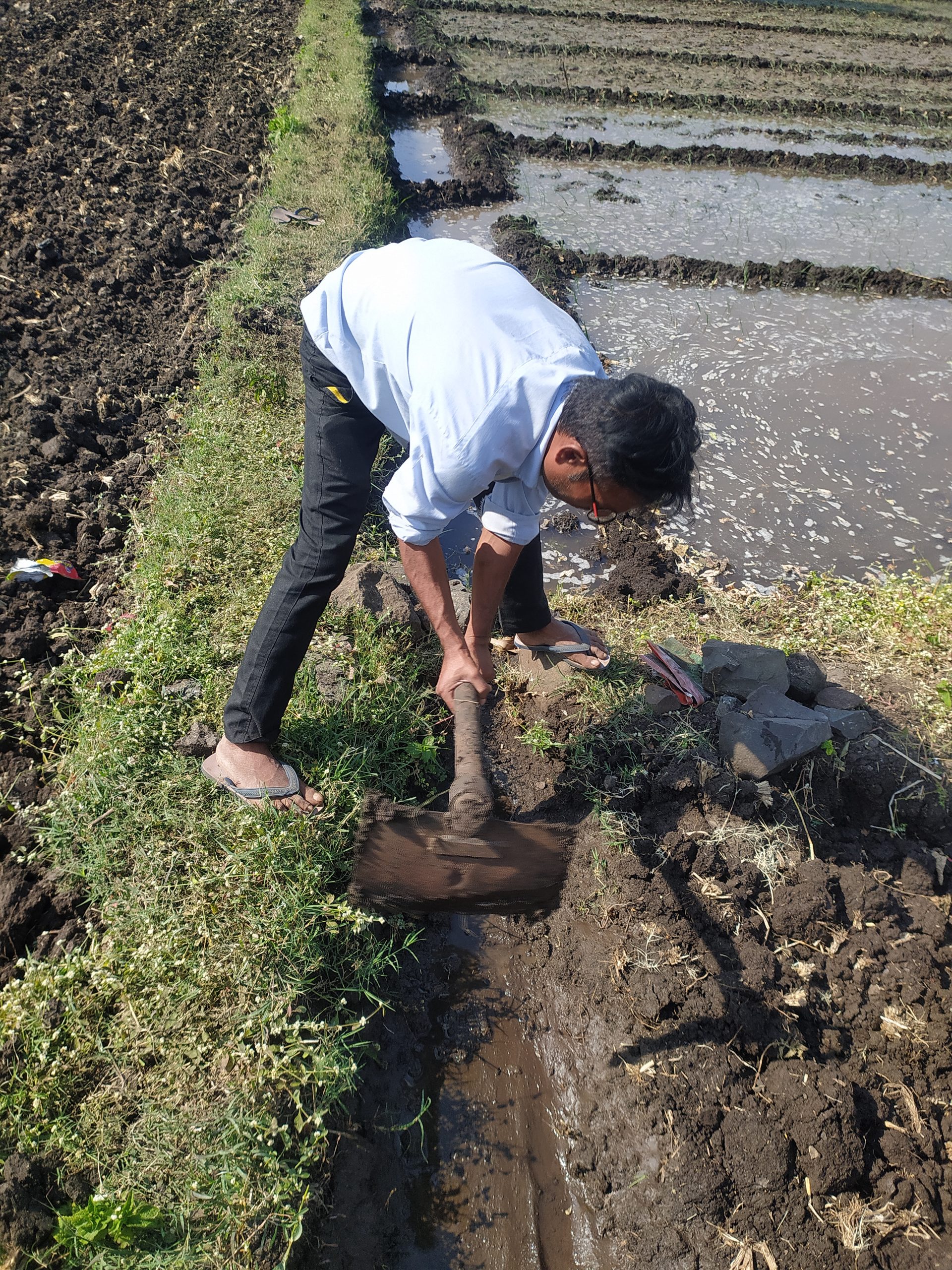 Farmer in the field