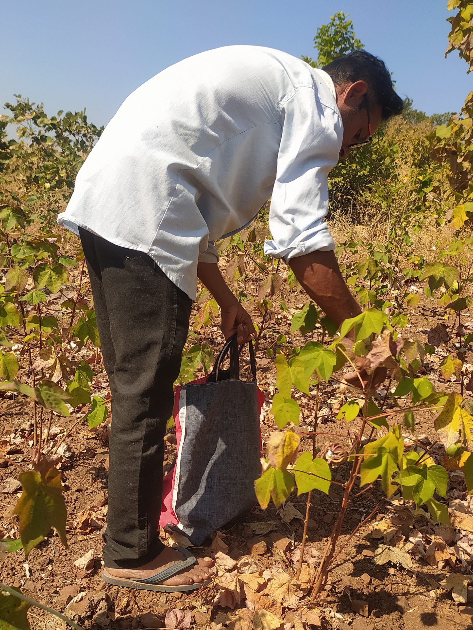 A farmer working in field