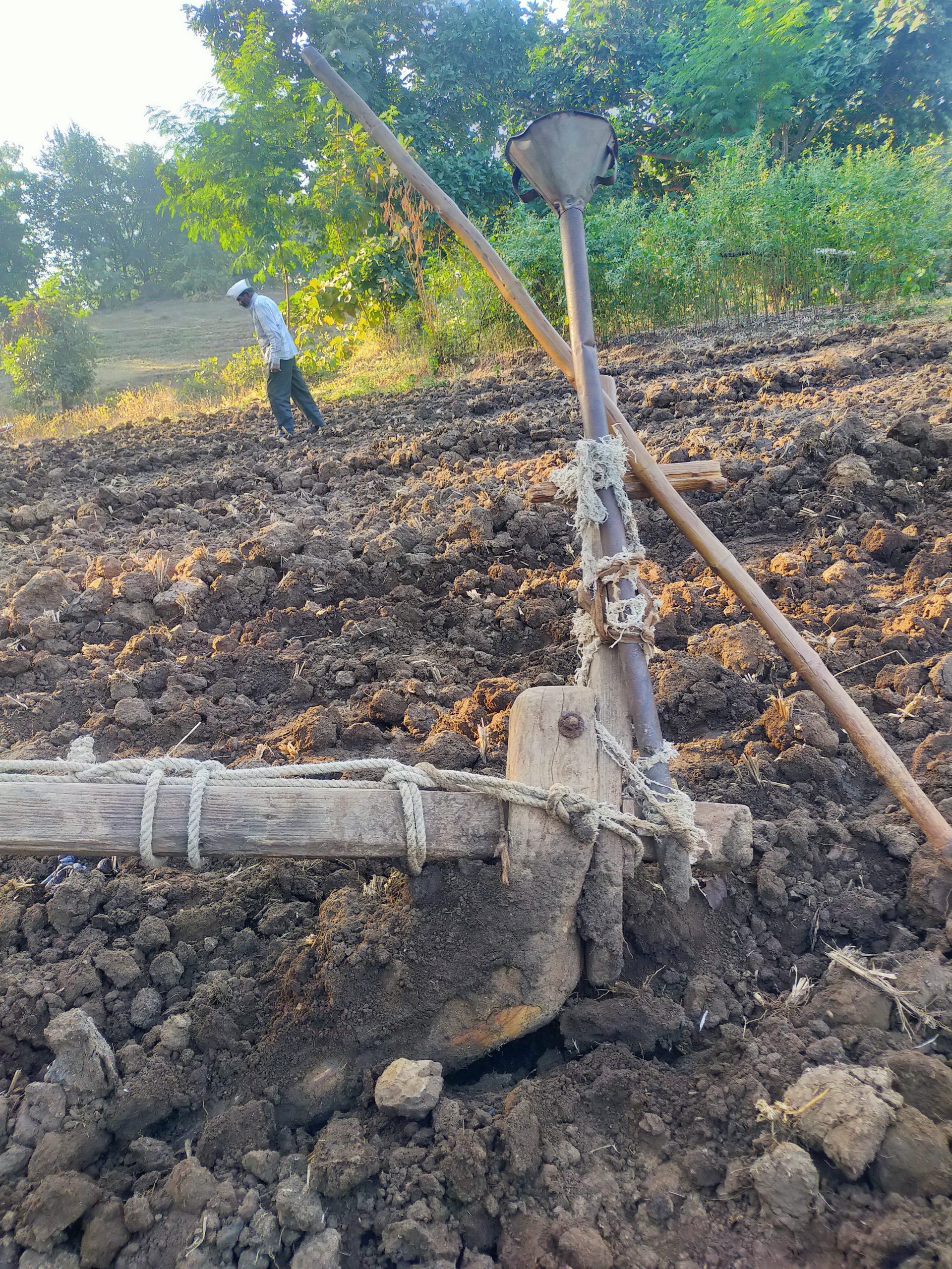 A plough in a field