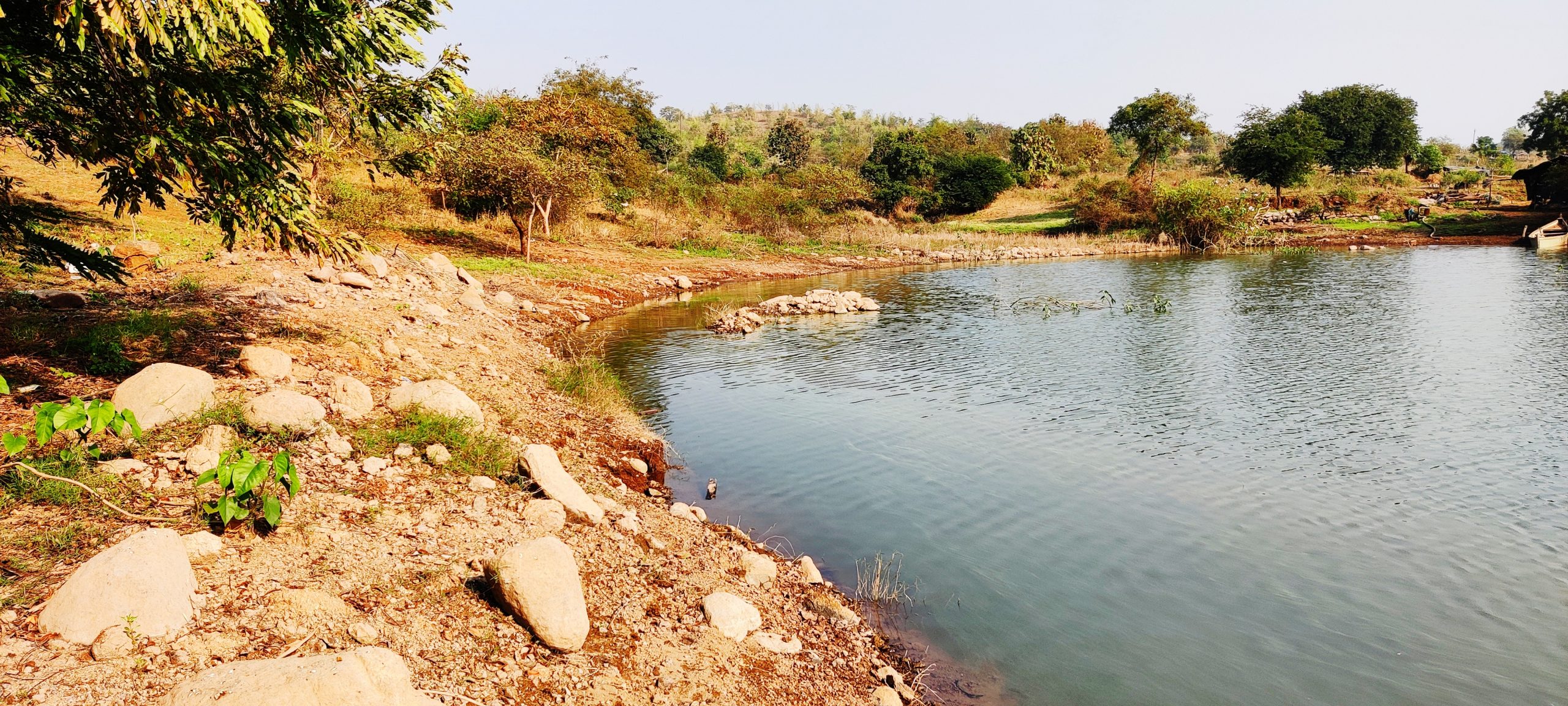 A pond in jungle