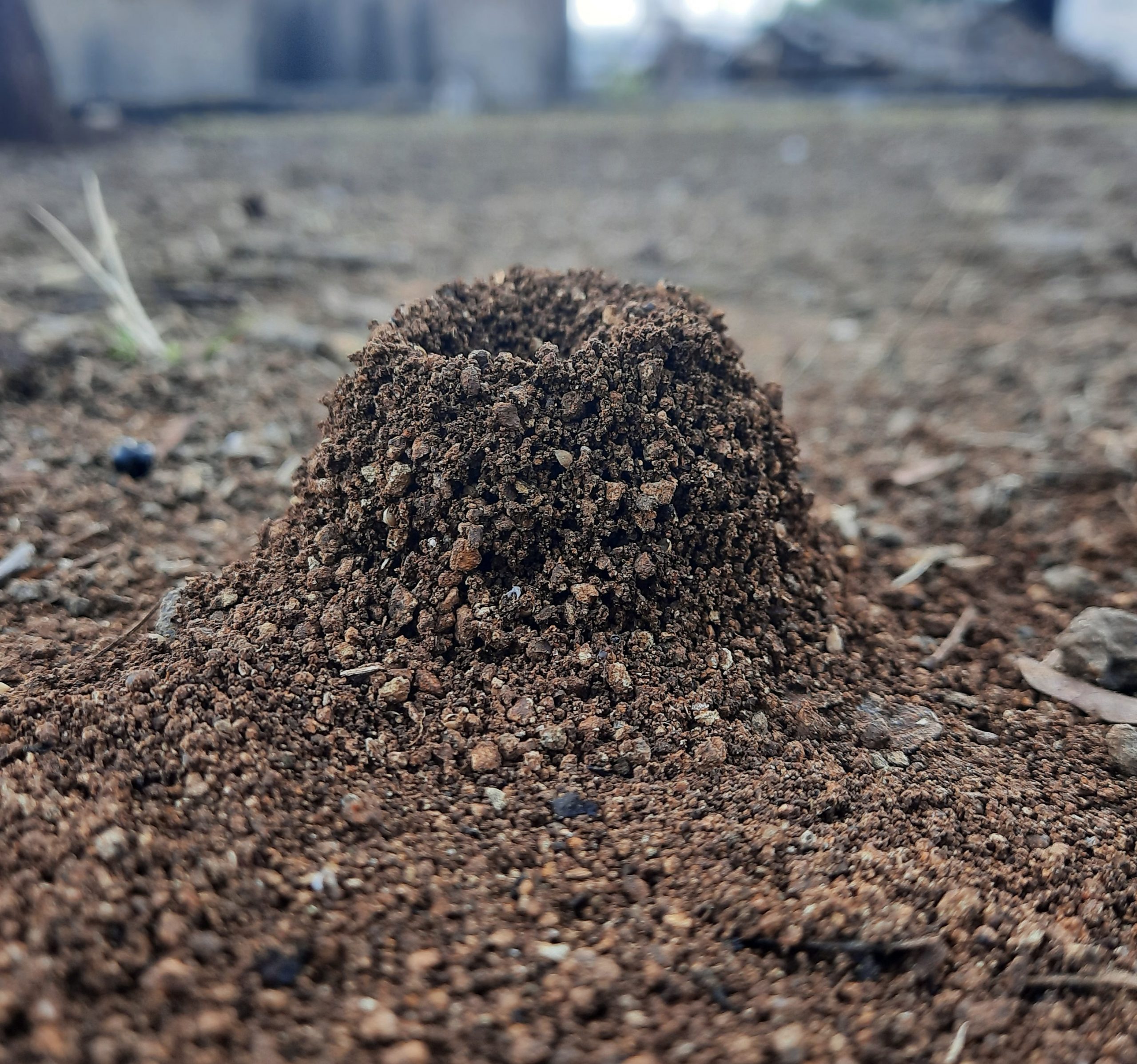 A small pile of soil