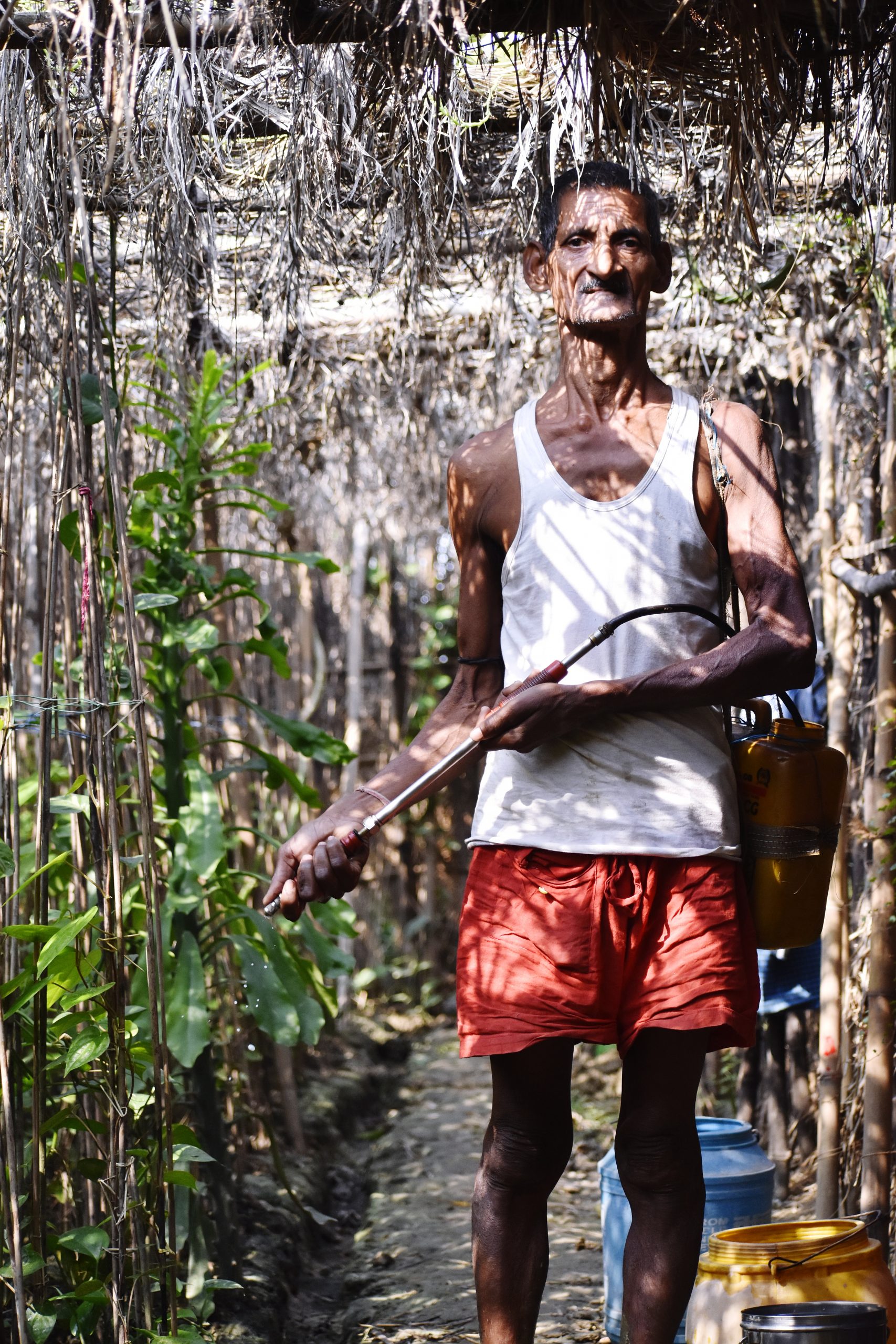 A village farmer