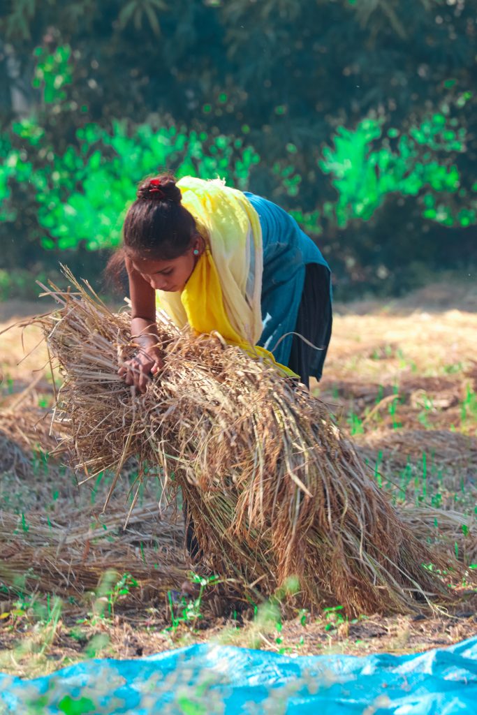 A village girl lifting grass - PixaHive