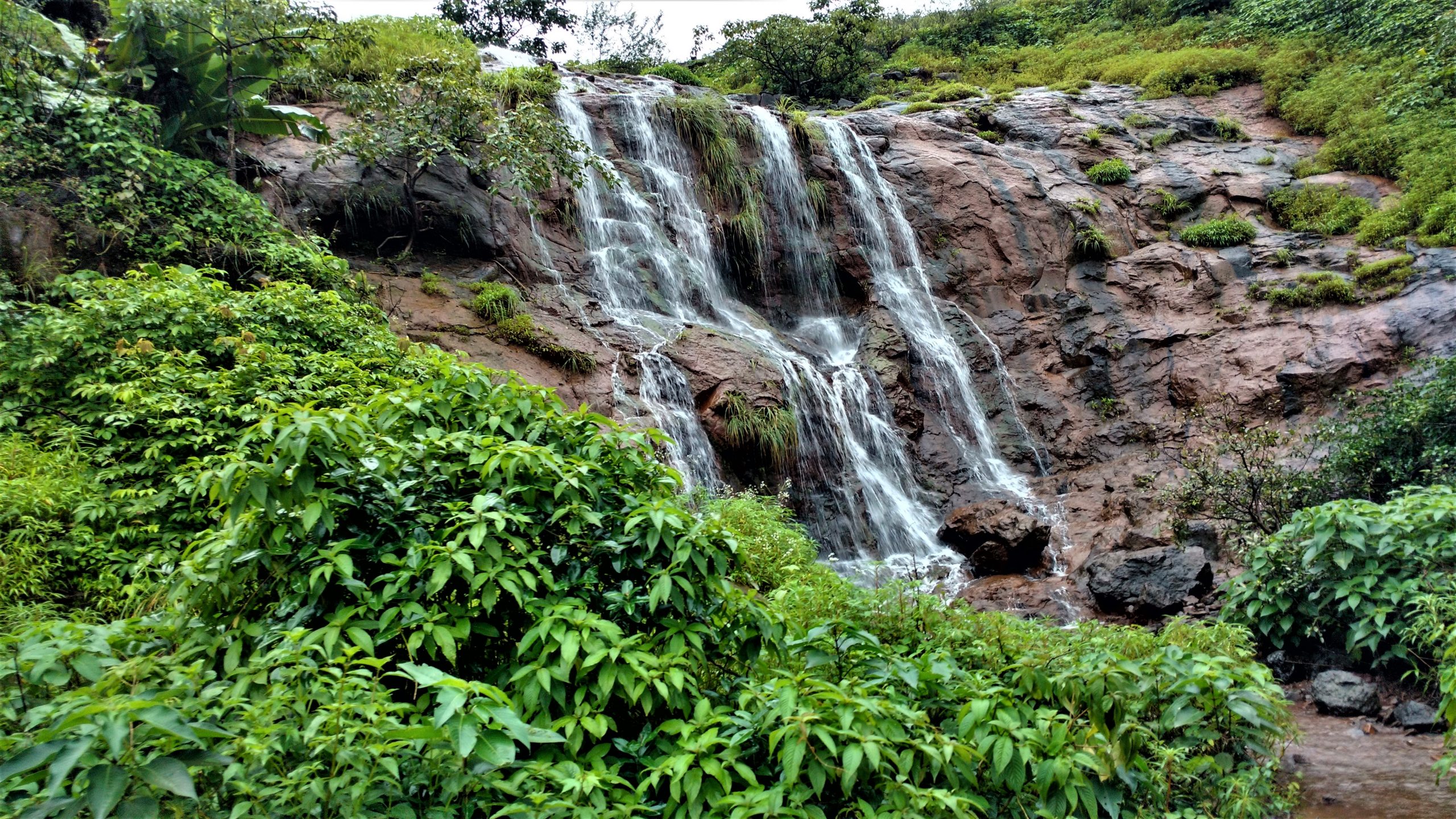 A waterfall on Western Ghats