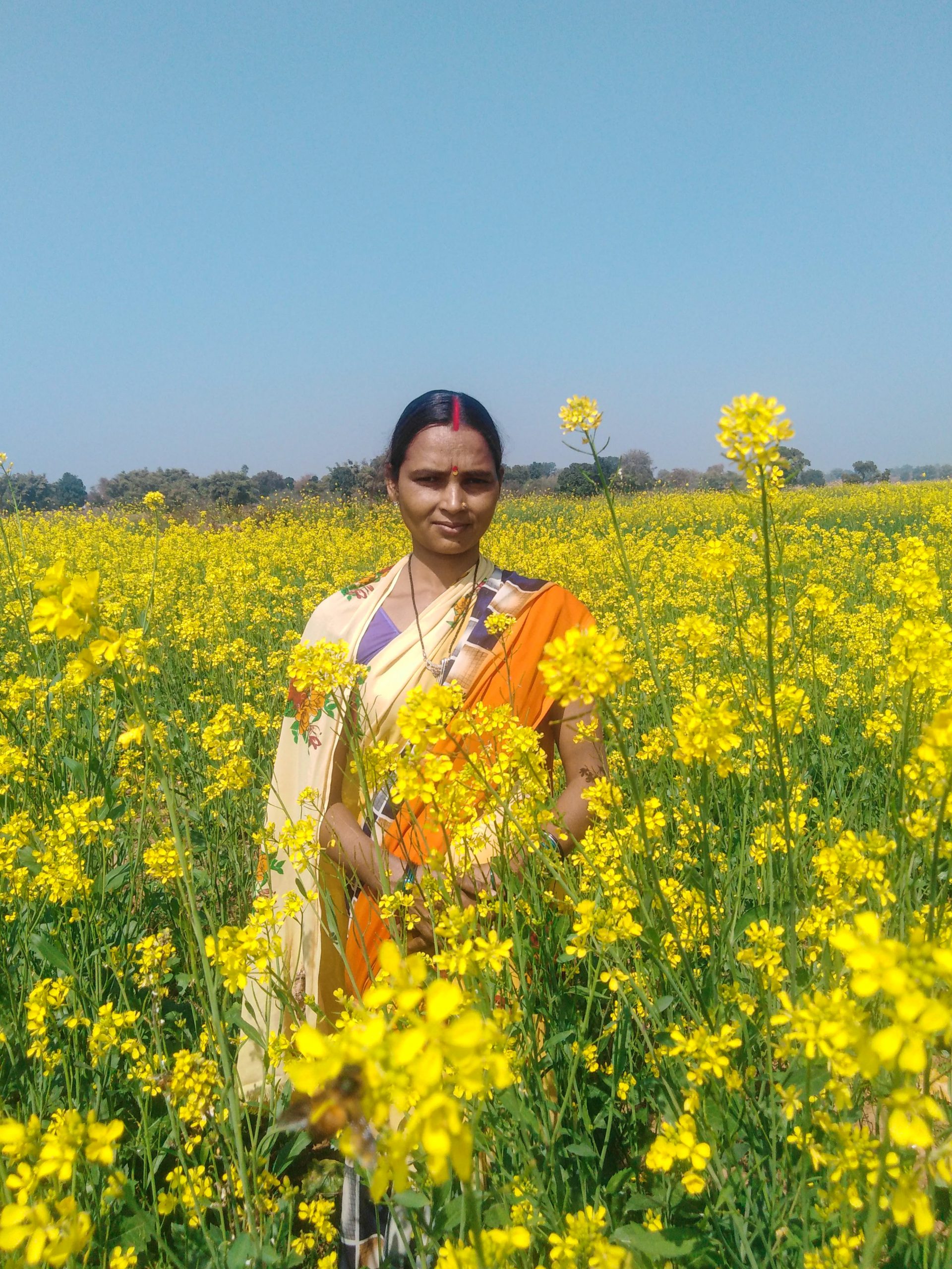 A woman in mustard plant field