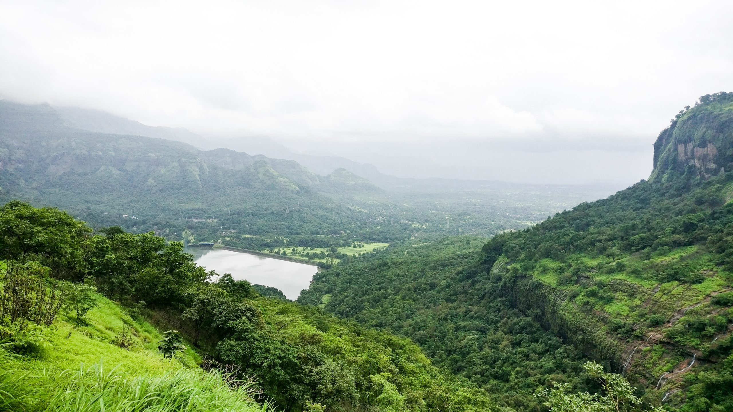 Andharban jungle near pune during rainy season