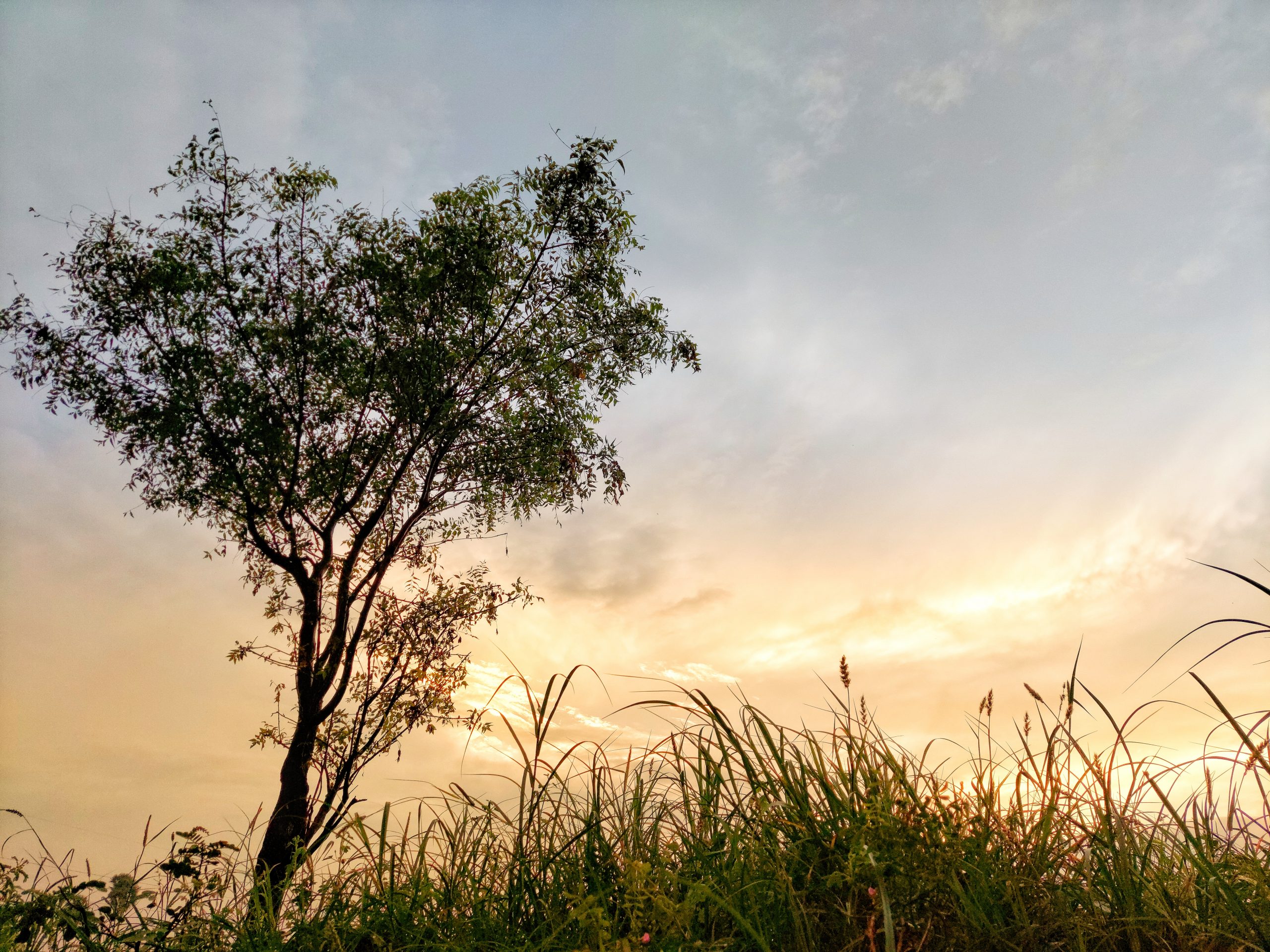 sunset at the farm