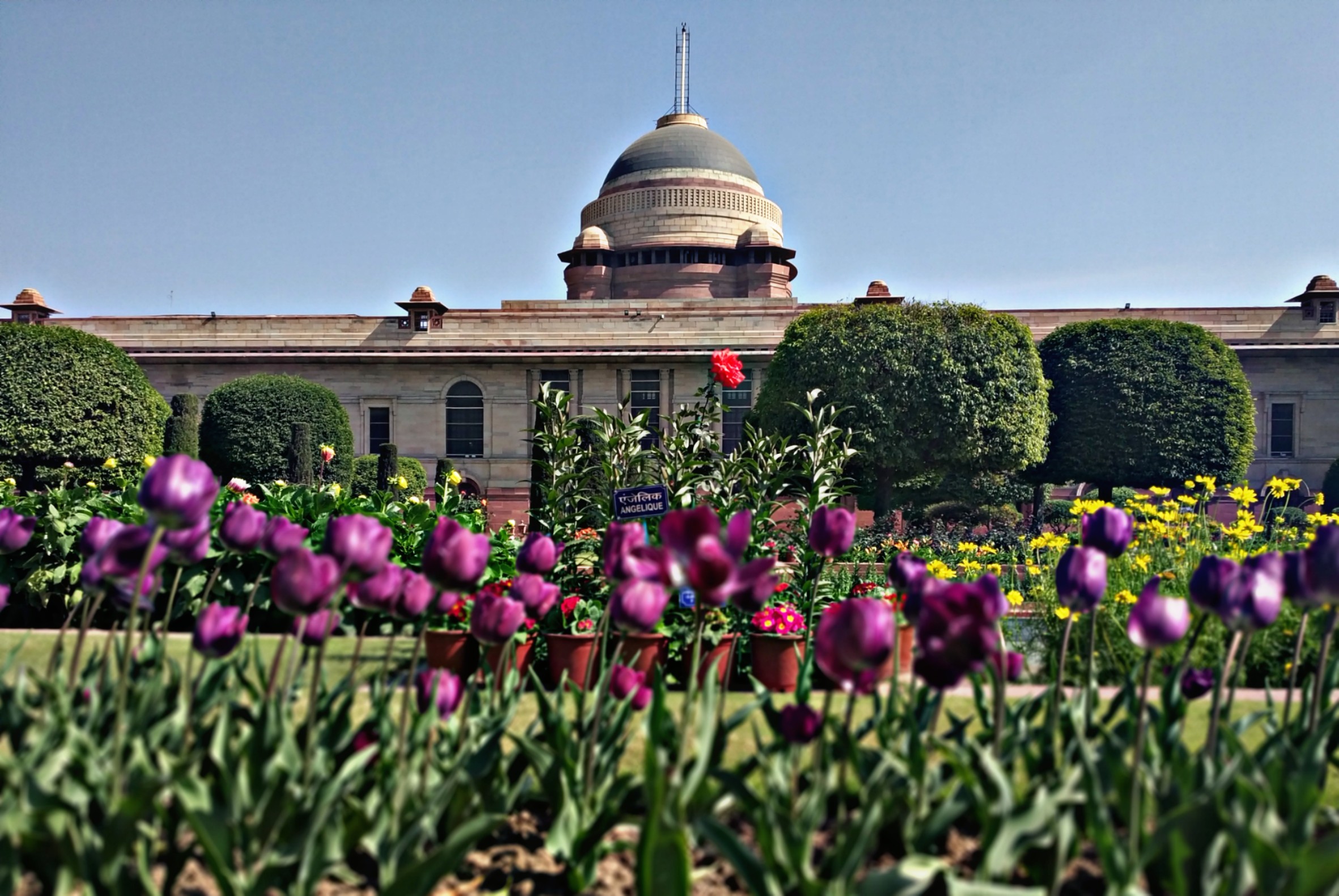 Beauty of Mughal Garden