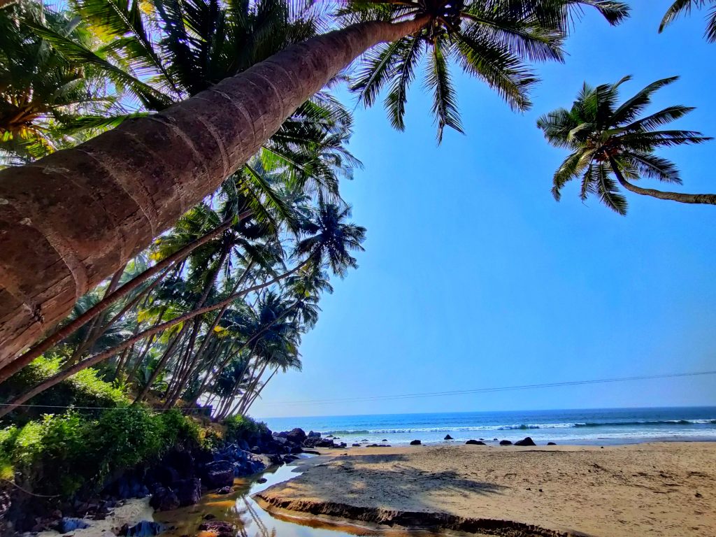 Bhogave beach , sea , tree - PixaHive