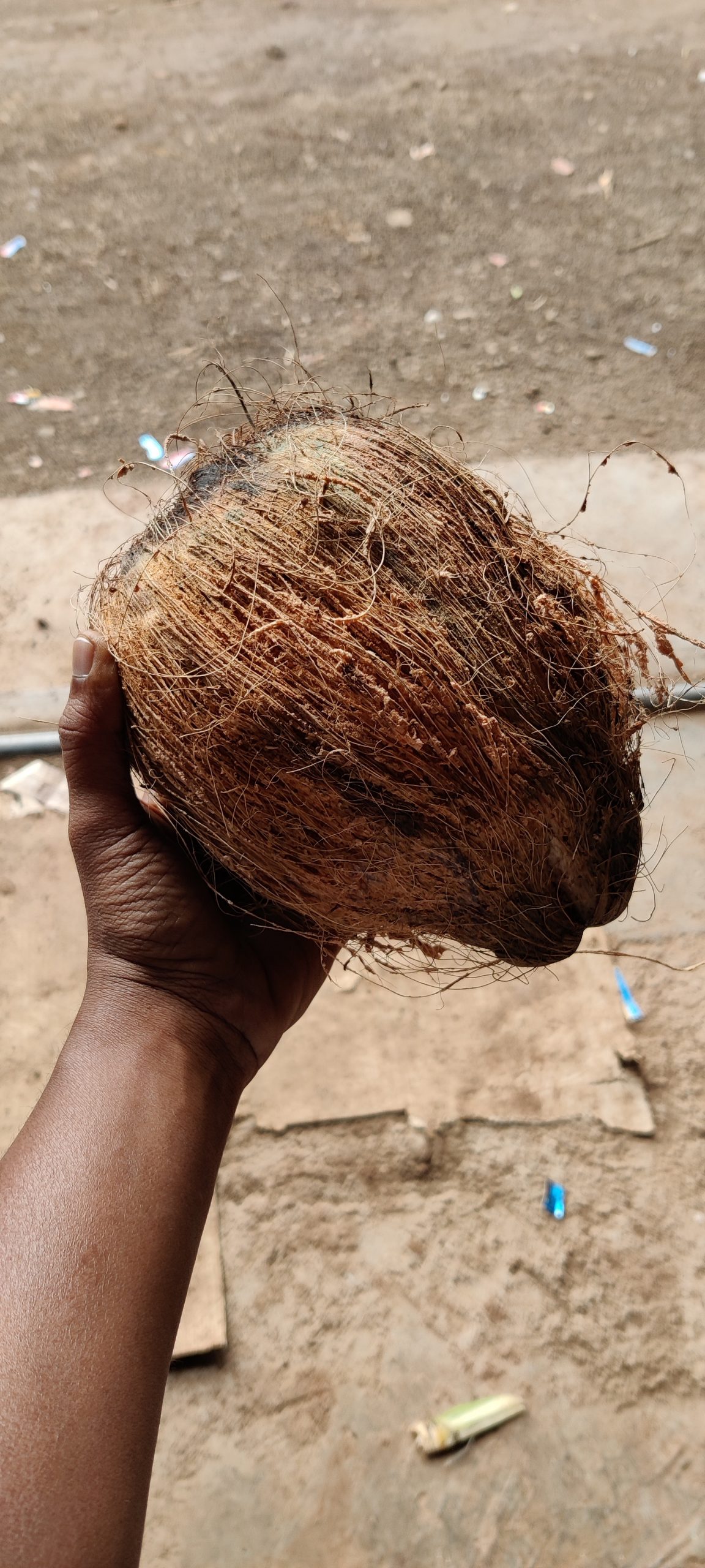 coconut in hand