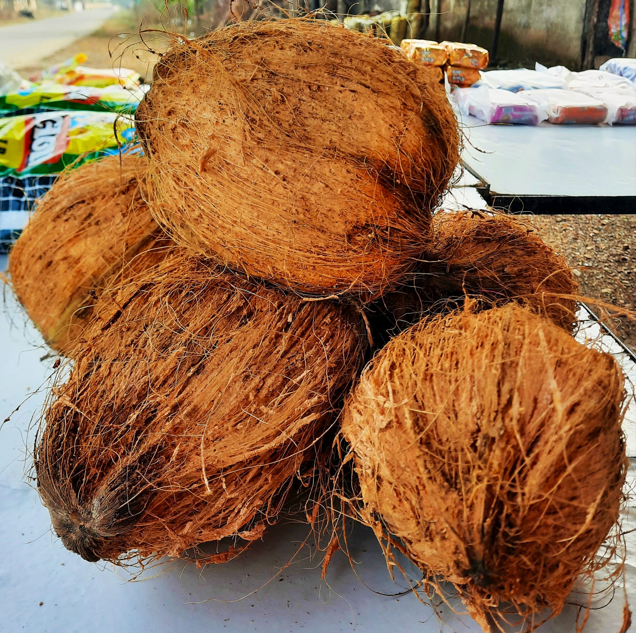 Coconuts