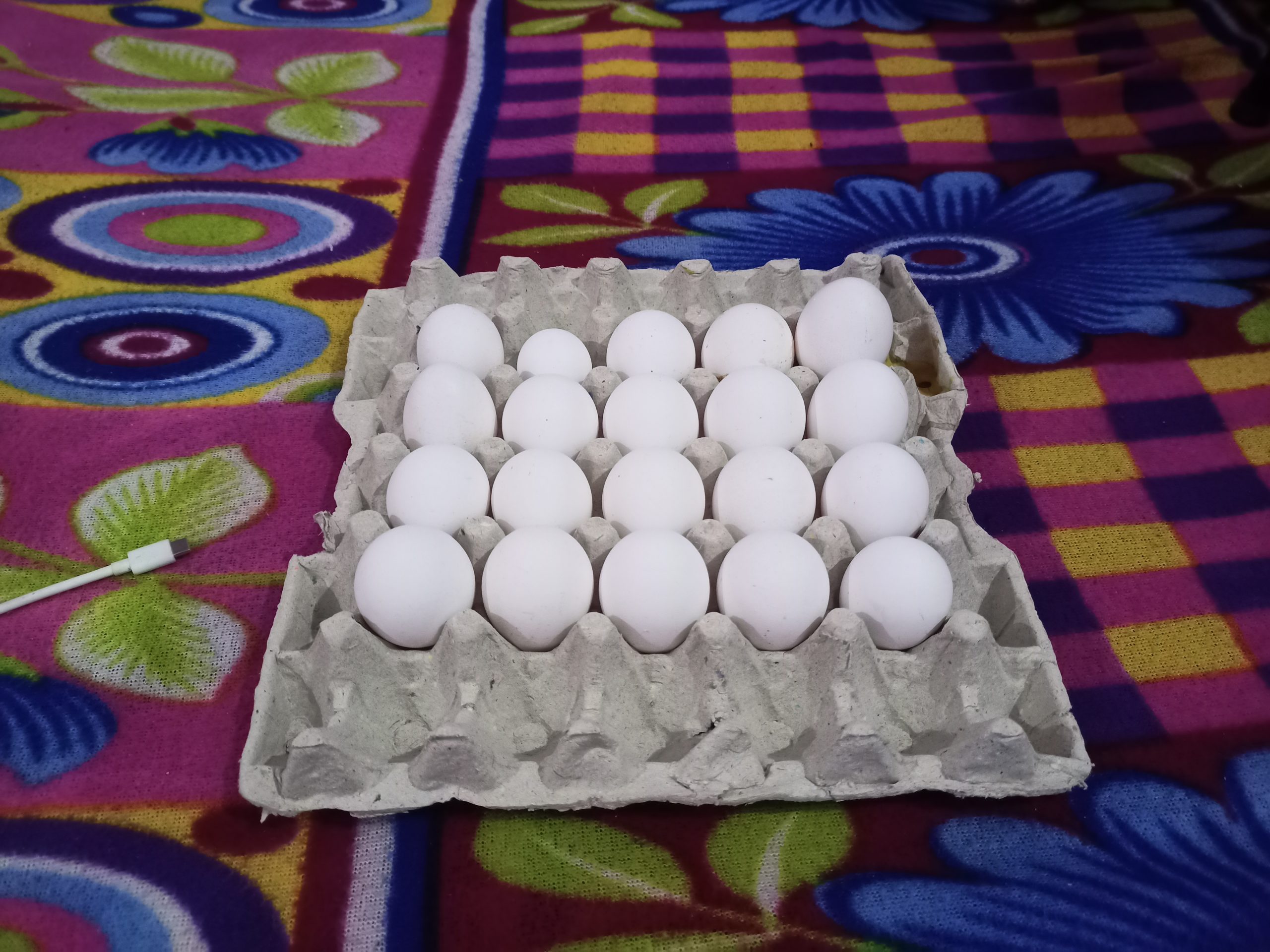 eggs in a tray