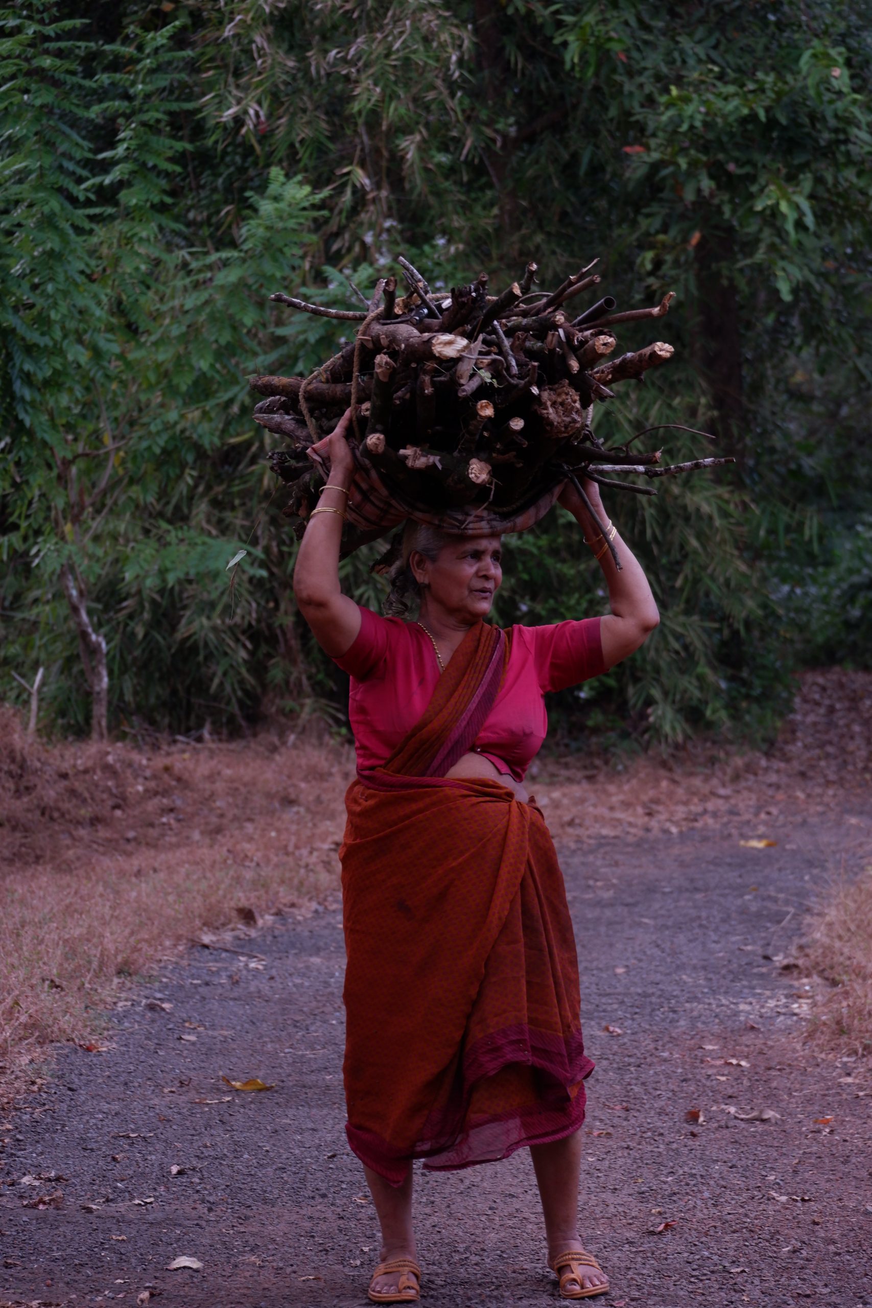 A village woman carrying dry woods