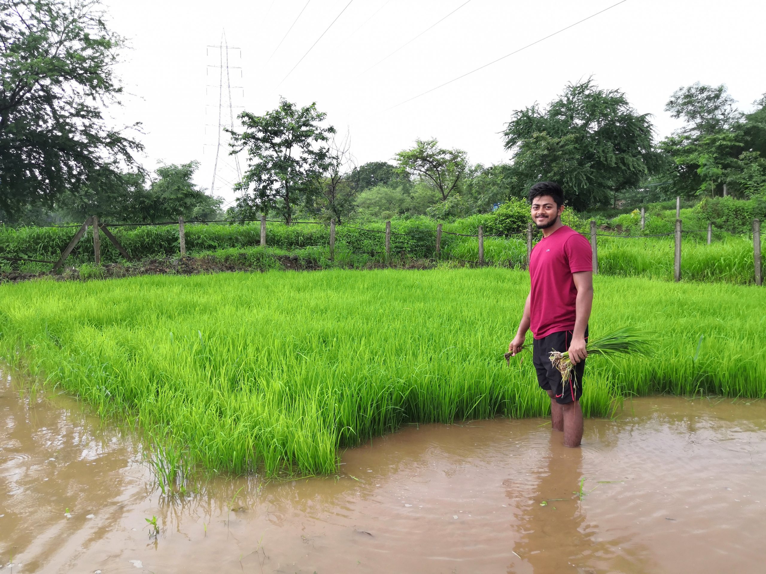 Farmer at work