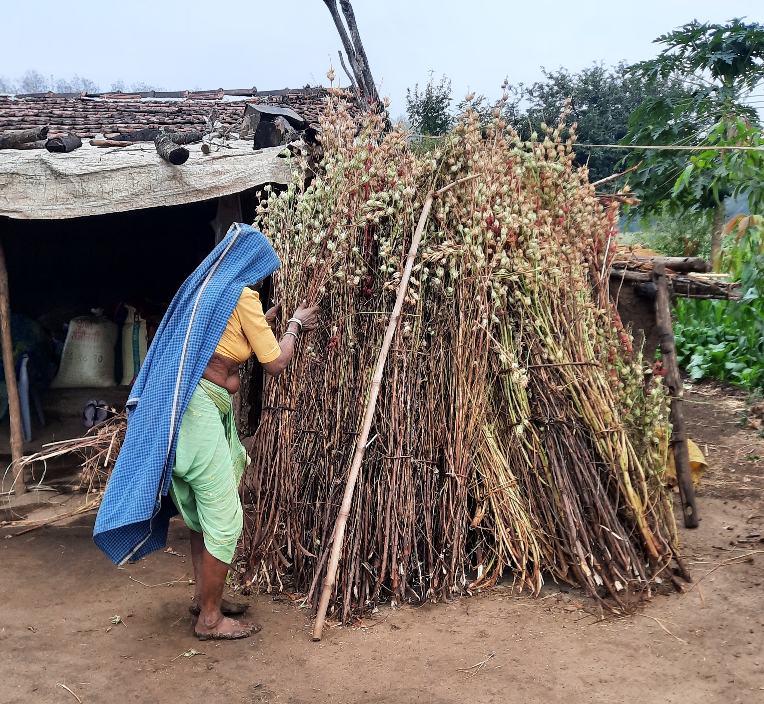 A village woman working