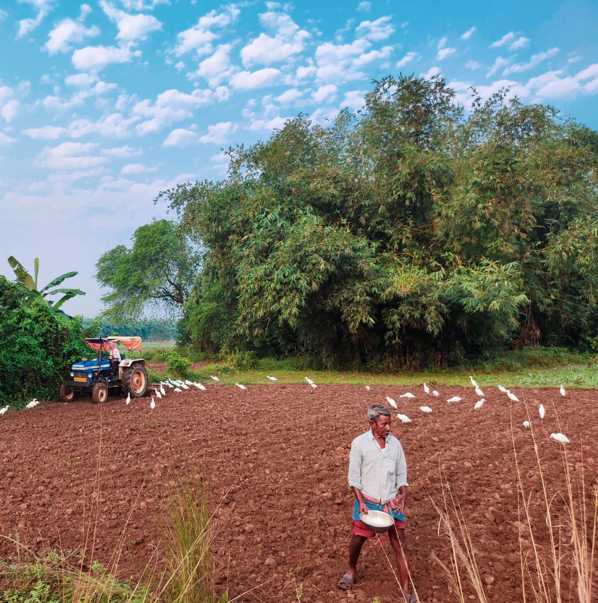 Farmer at work