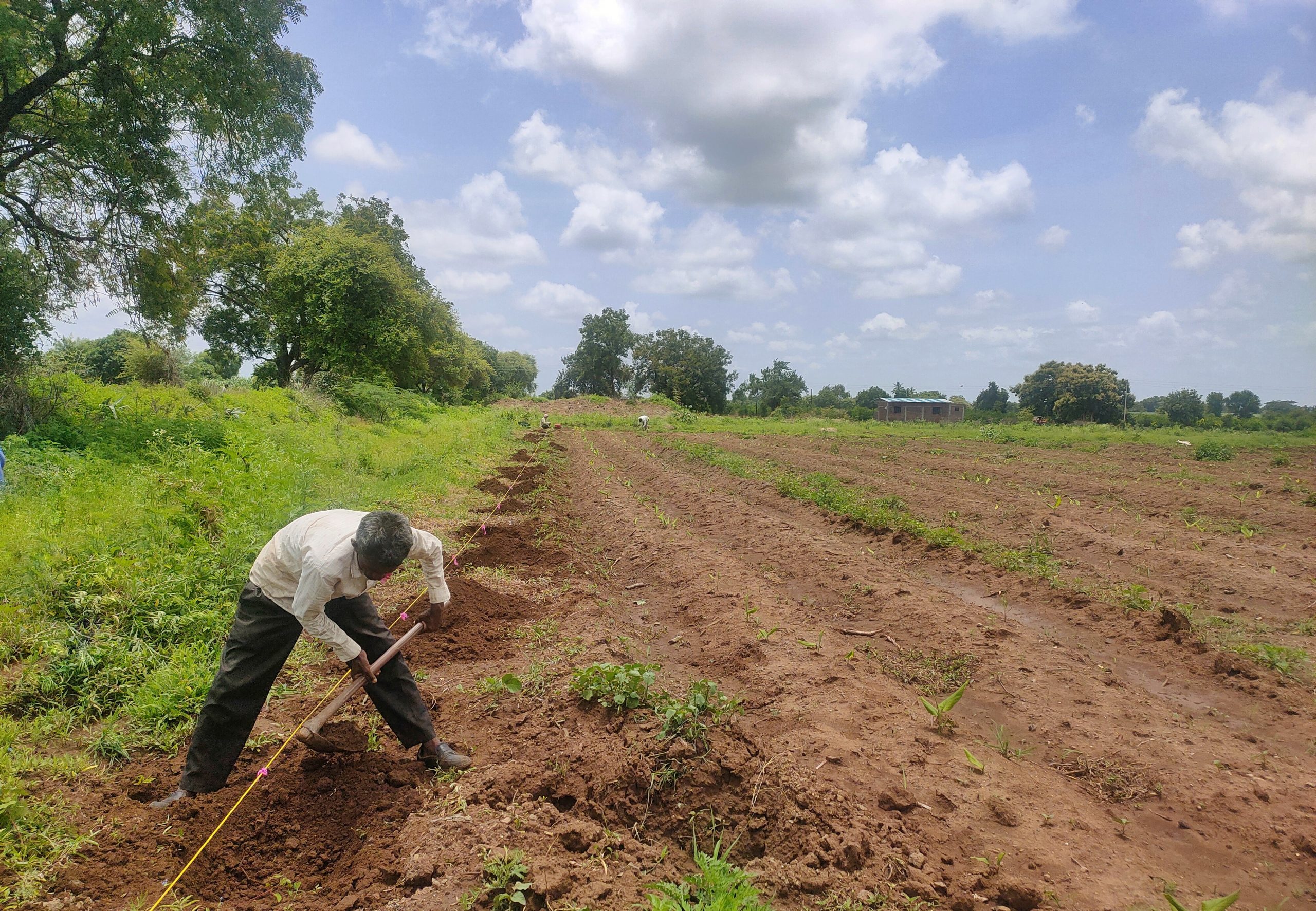 farmer in the field