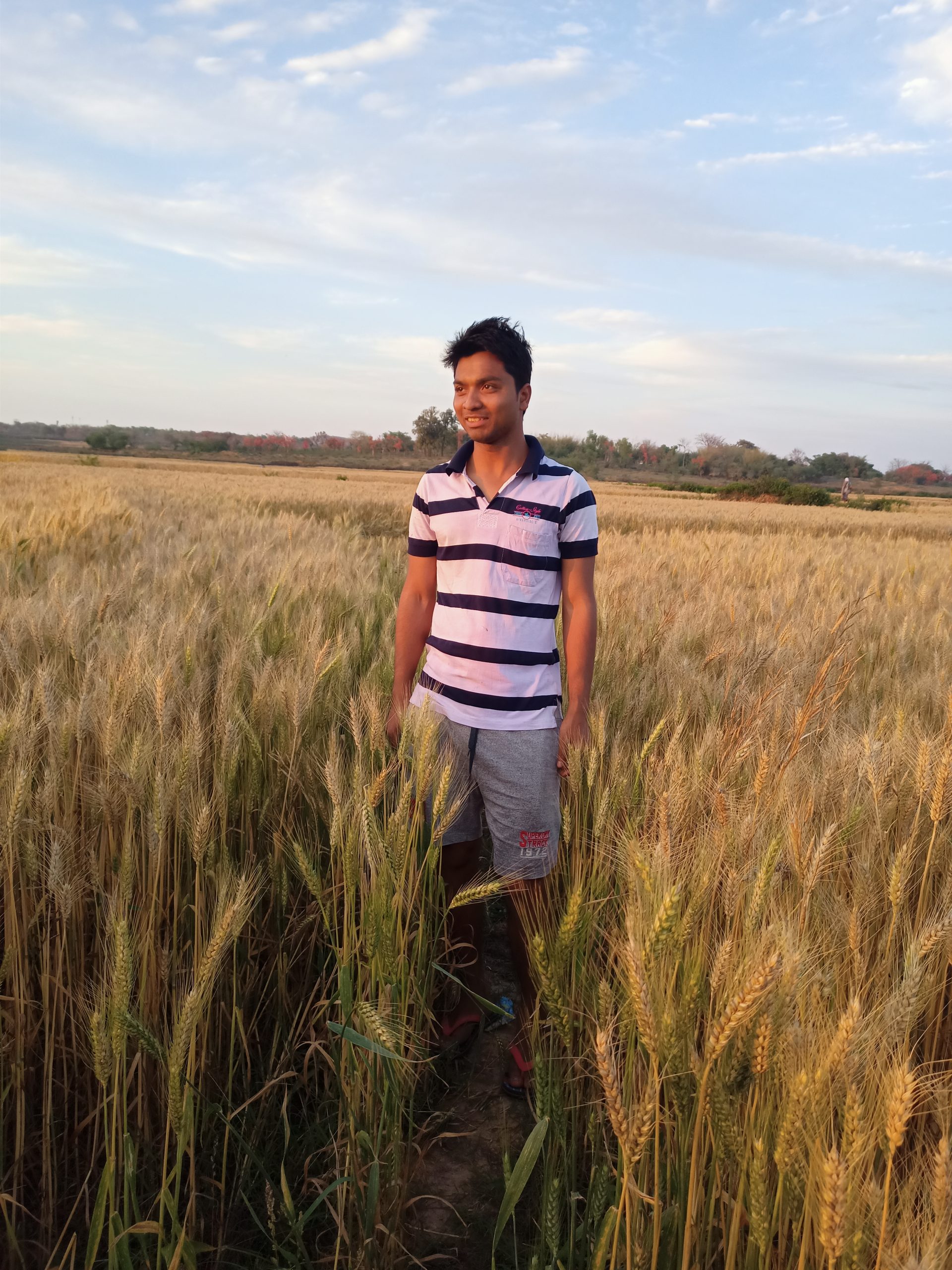 Man in field