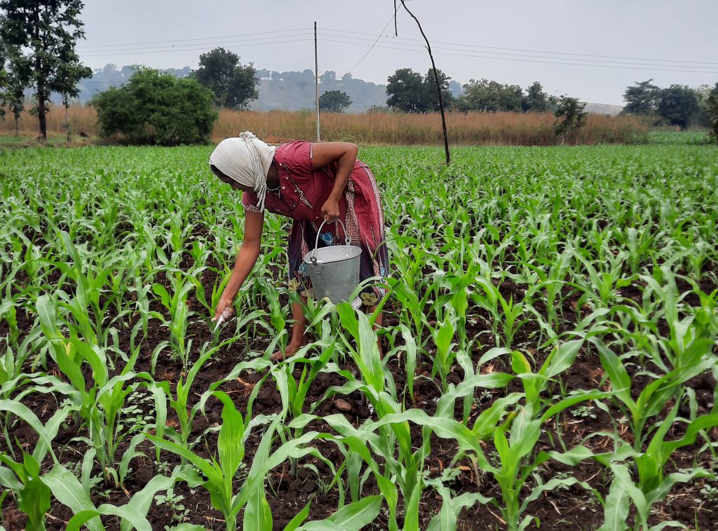 Farmer at work PixaHive