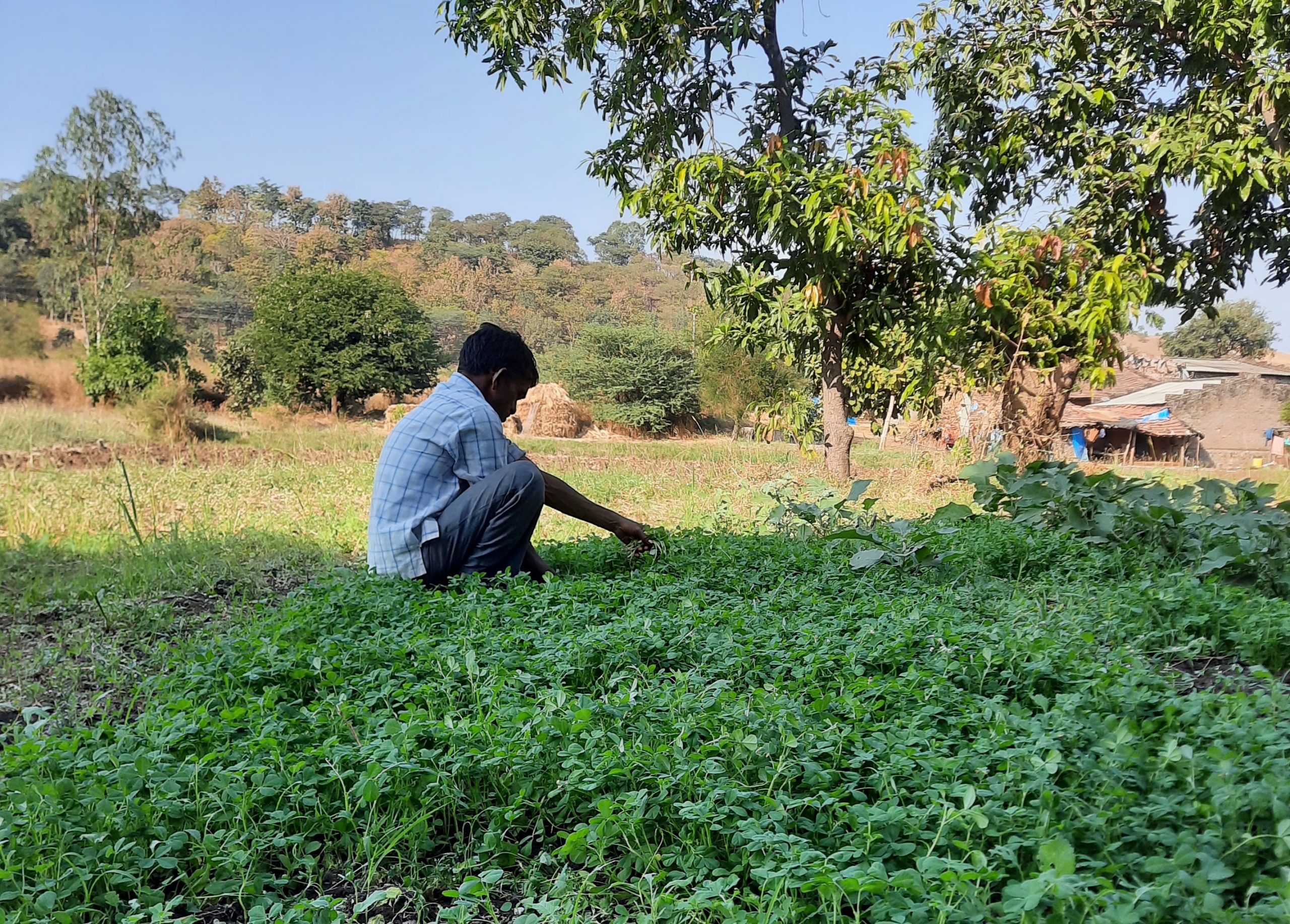 Farmer Working in Field