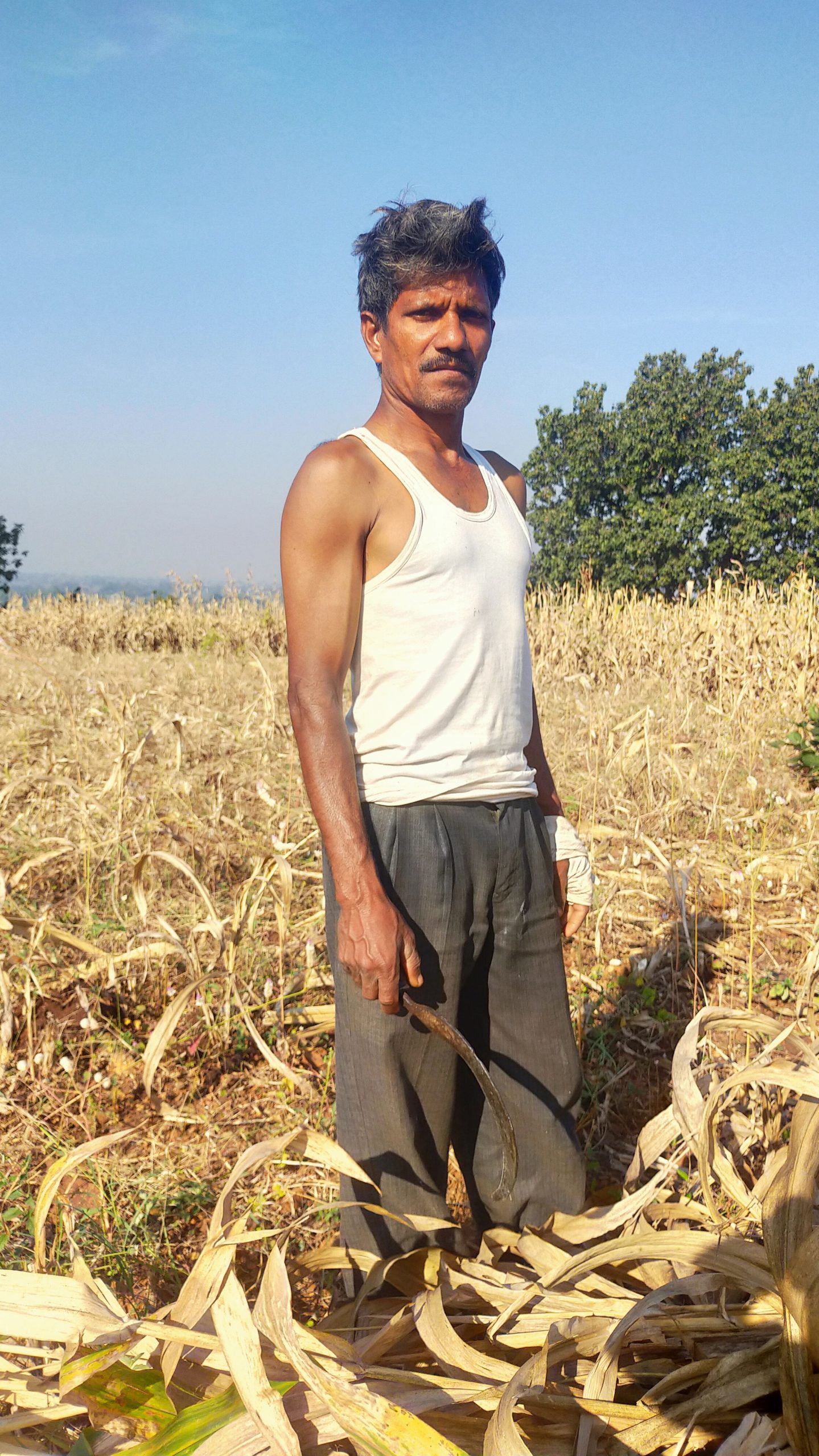 Farmer Working in Field