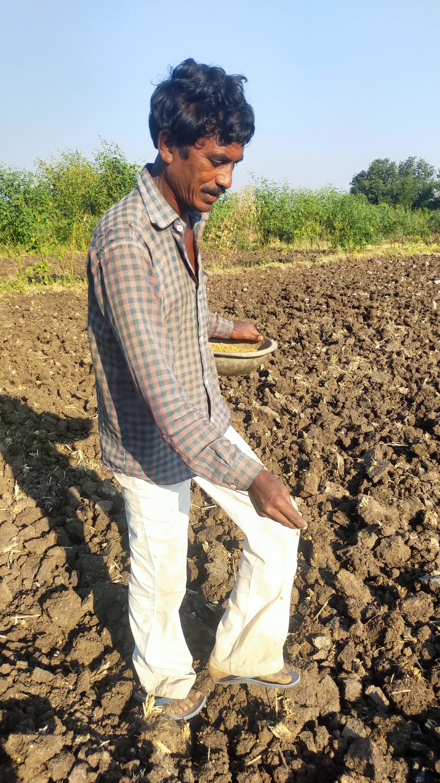 Farmer Sowing The Seeds Free Image By Zoologist Diz On