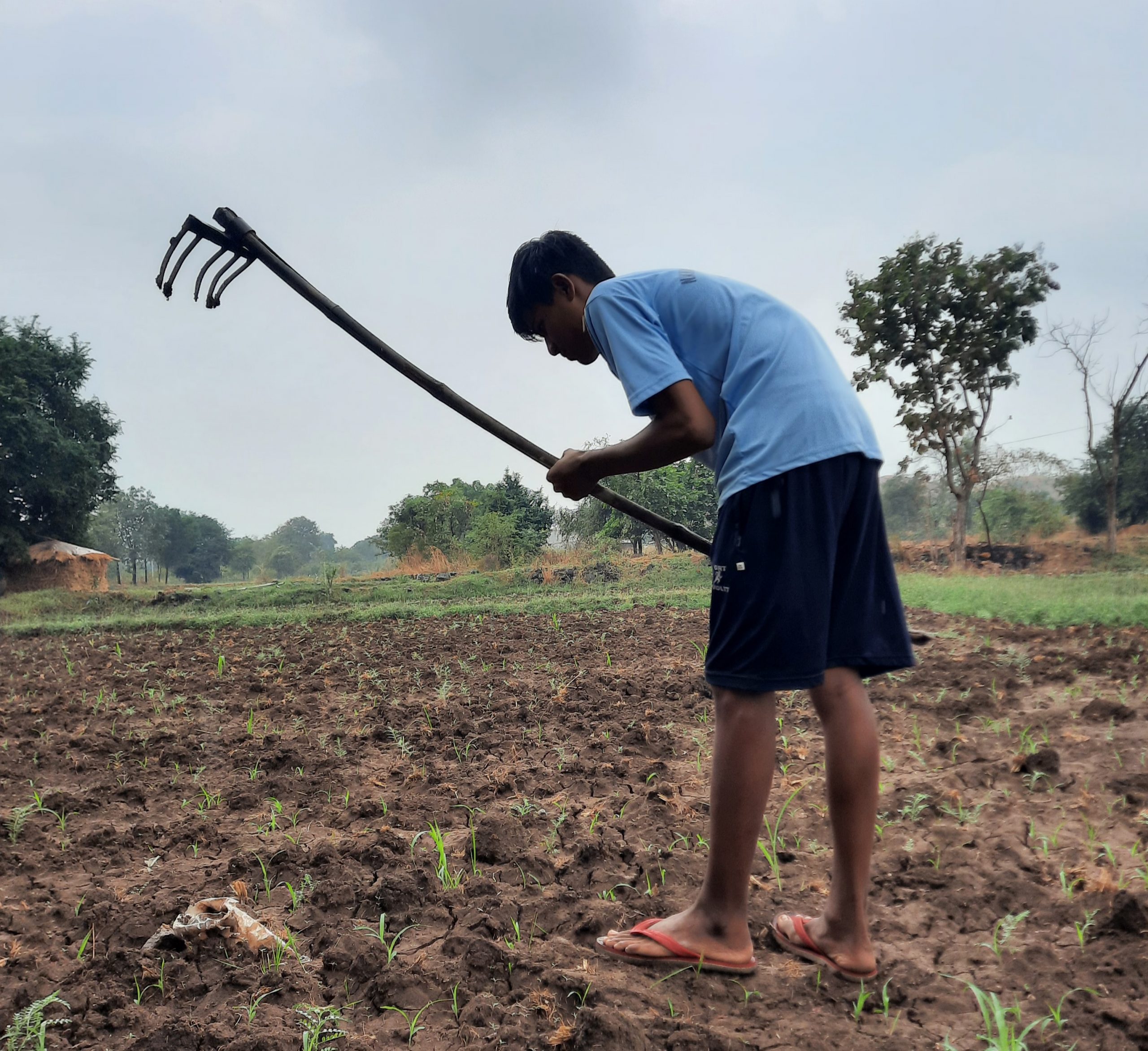 farmer working in the field