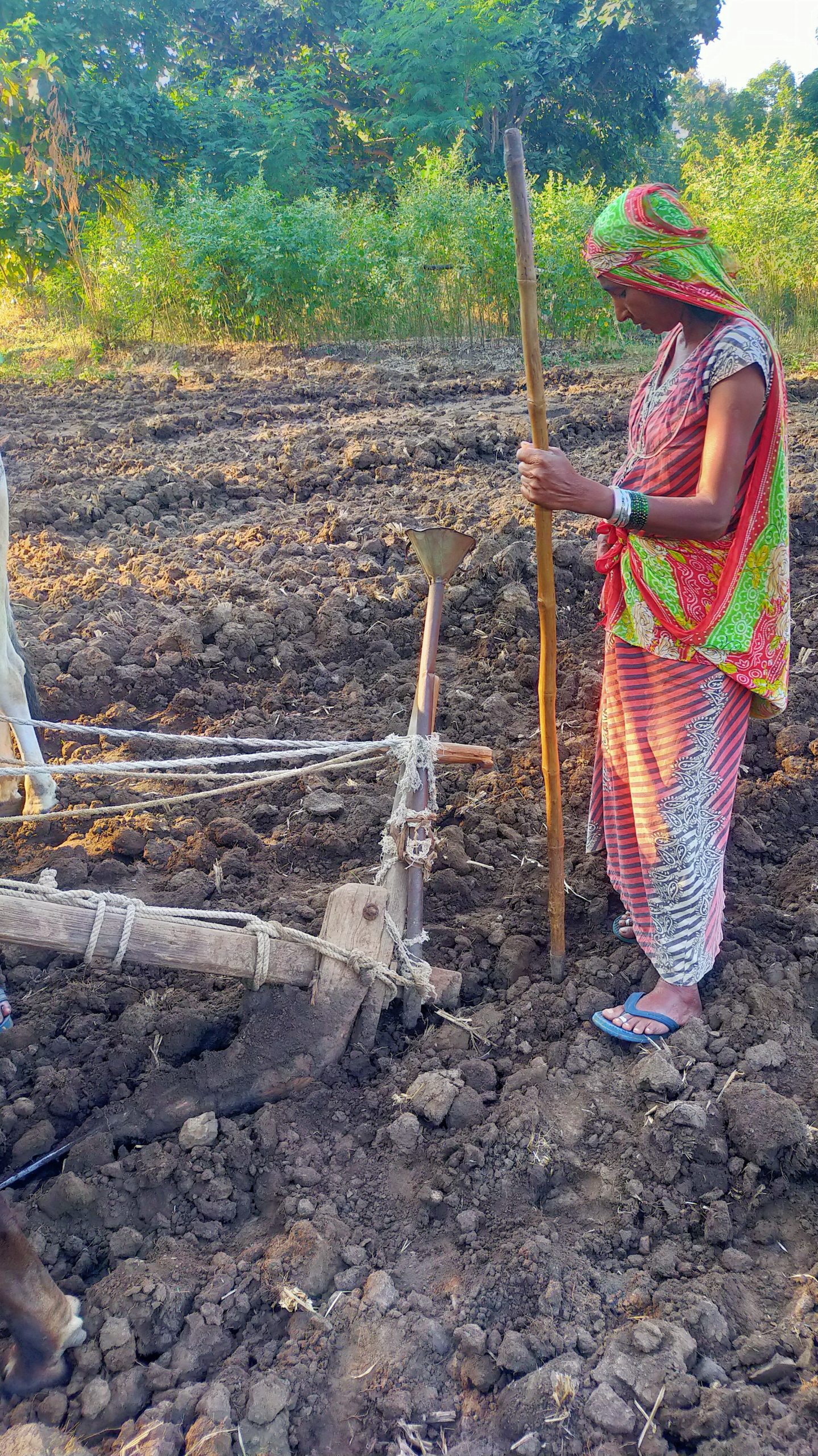 A lady farmer with a plough