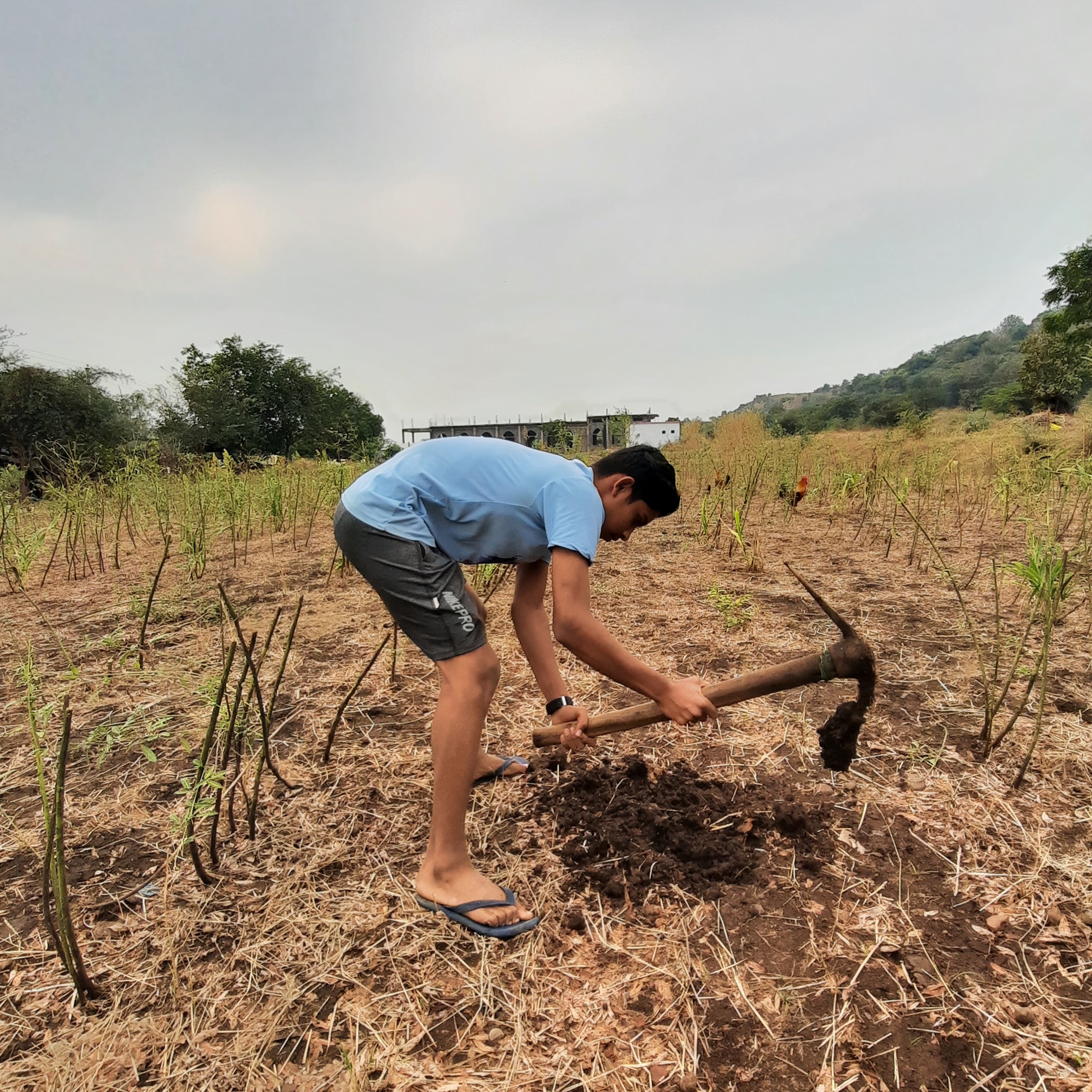 farmer working in the field