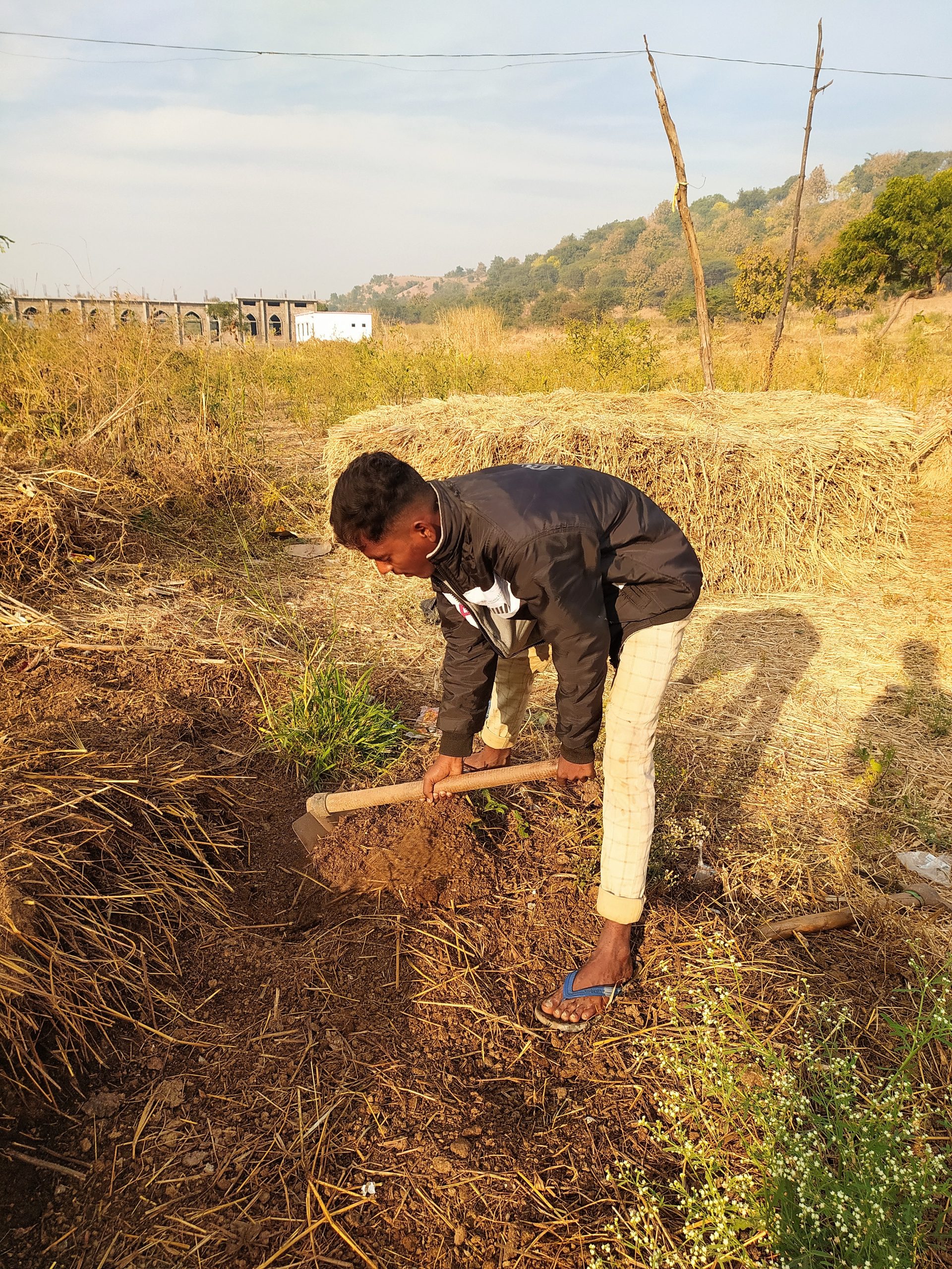 Farmer in the field