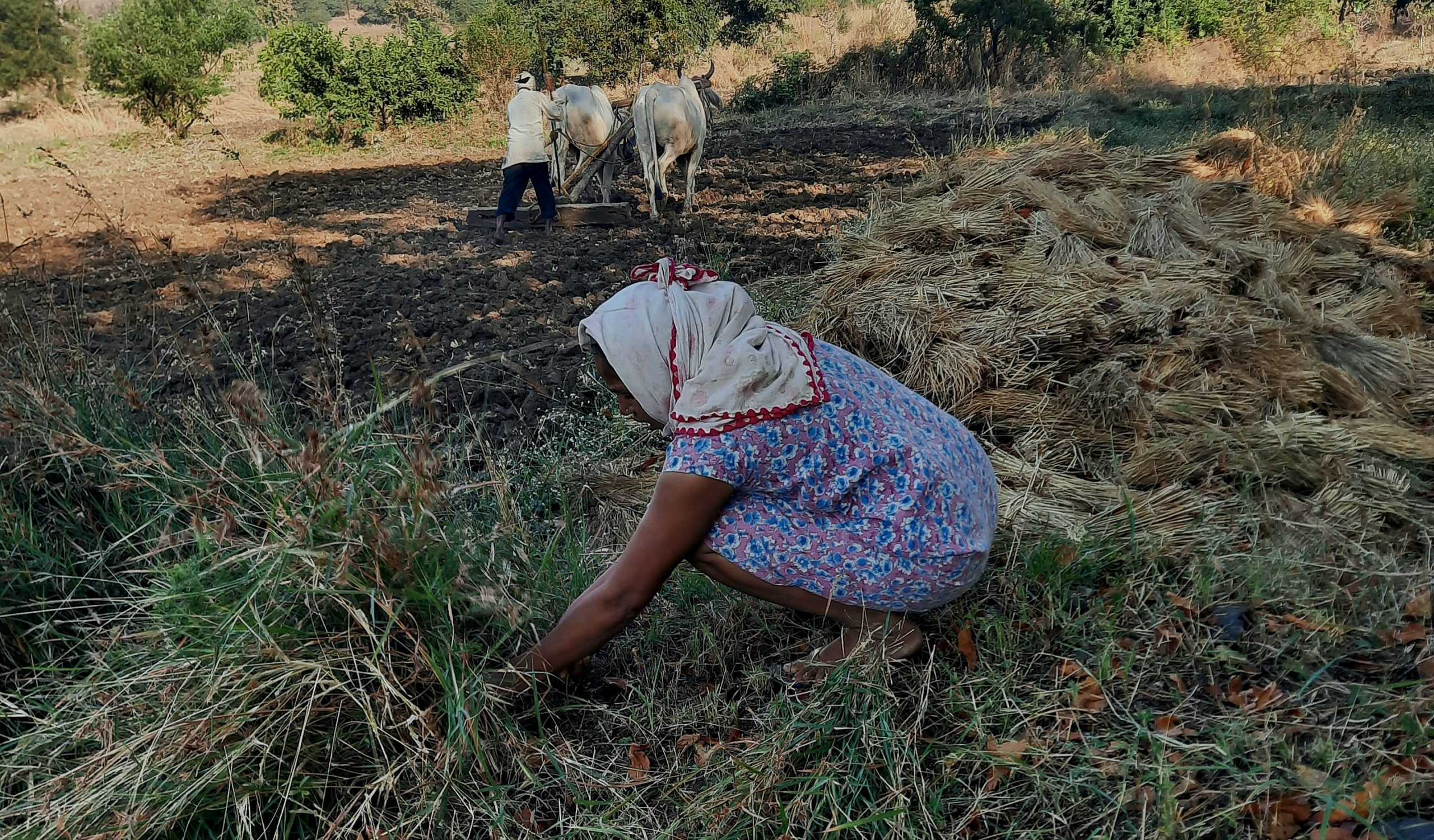 woman working on a farm