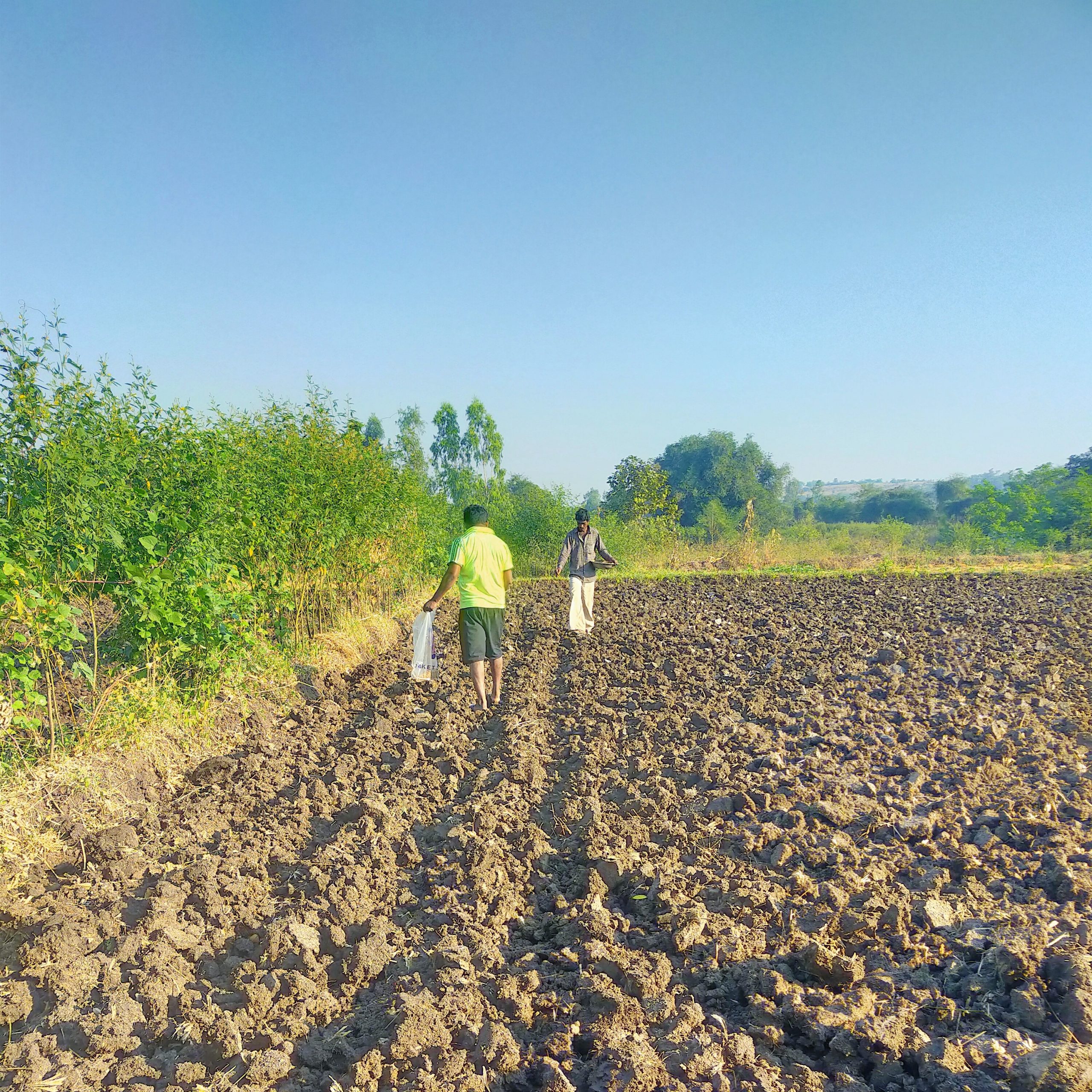 Farmers Working in Field