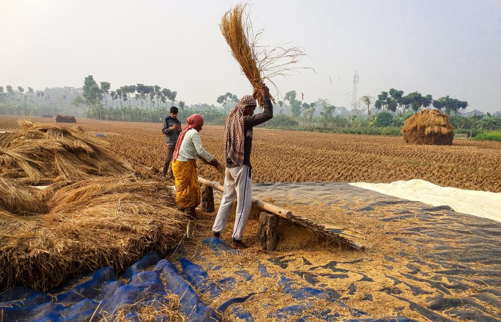 Farmers Working in Field - PixaHive