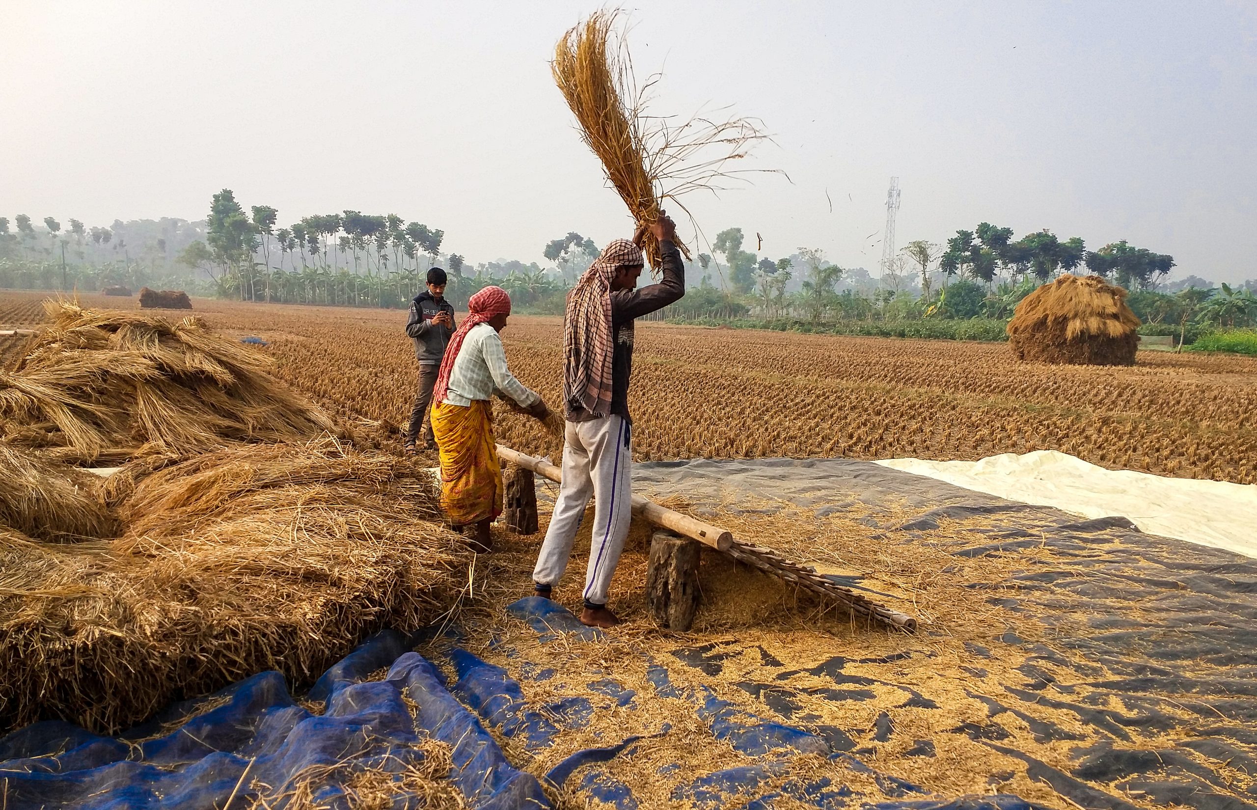 Farmers Working in Field