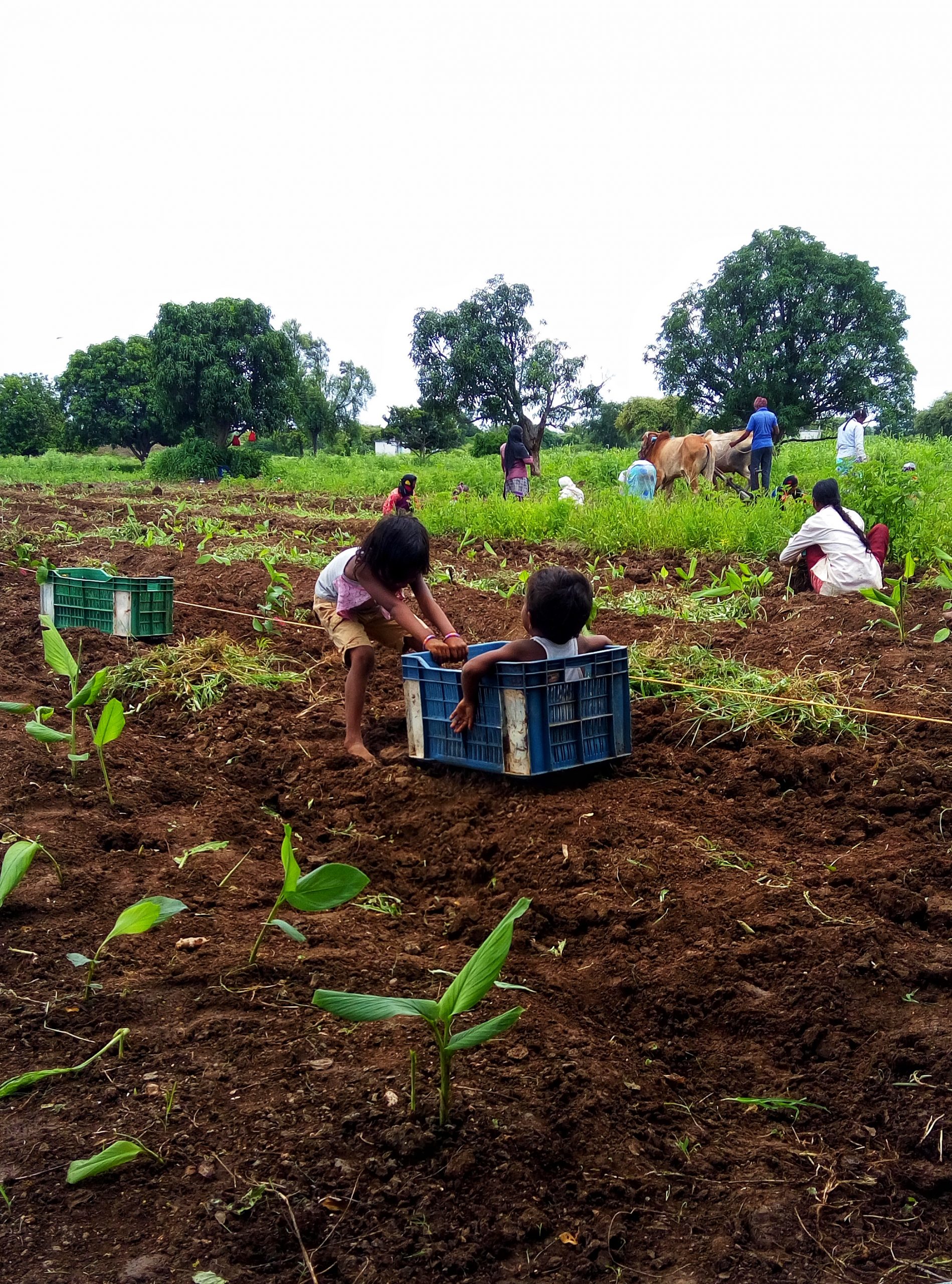 Farmers and kids in a field