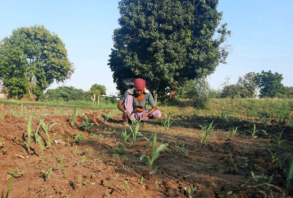 Female farmer cleaning farm Free Image by K.D.Pics on