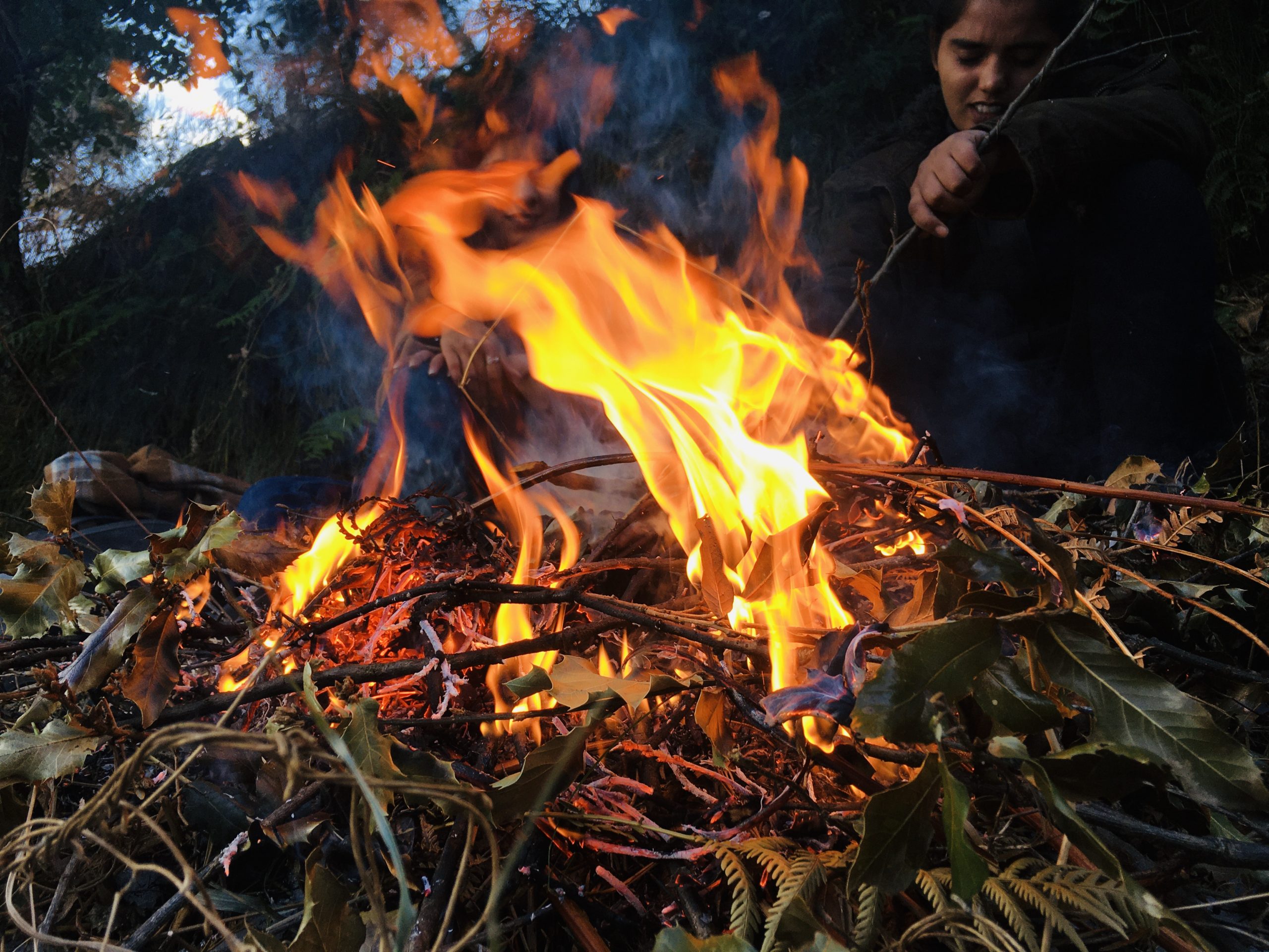 A campfire