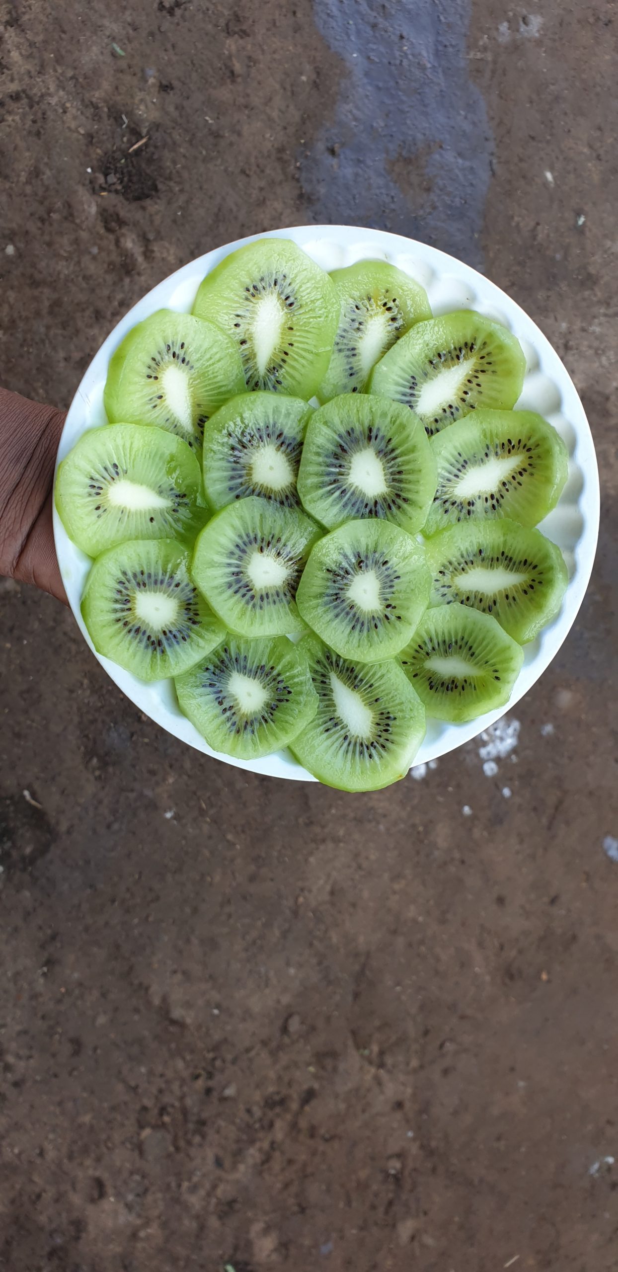 Kiwi fruit slices in a plate