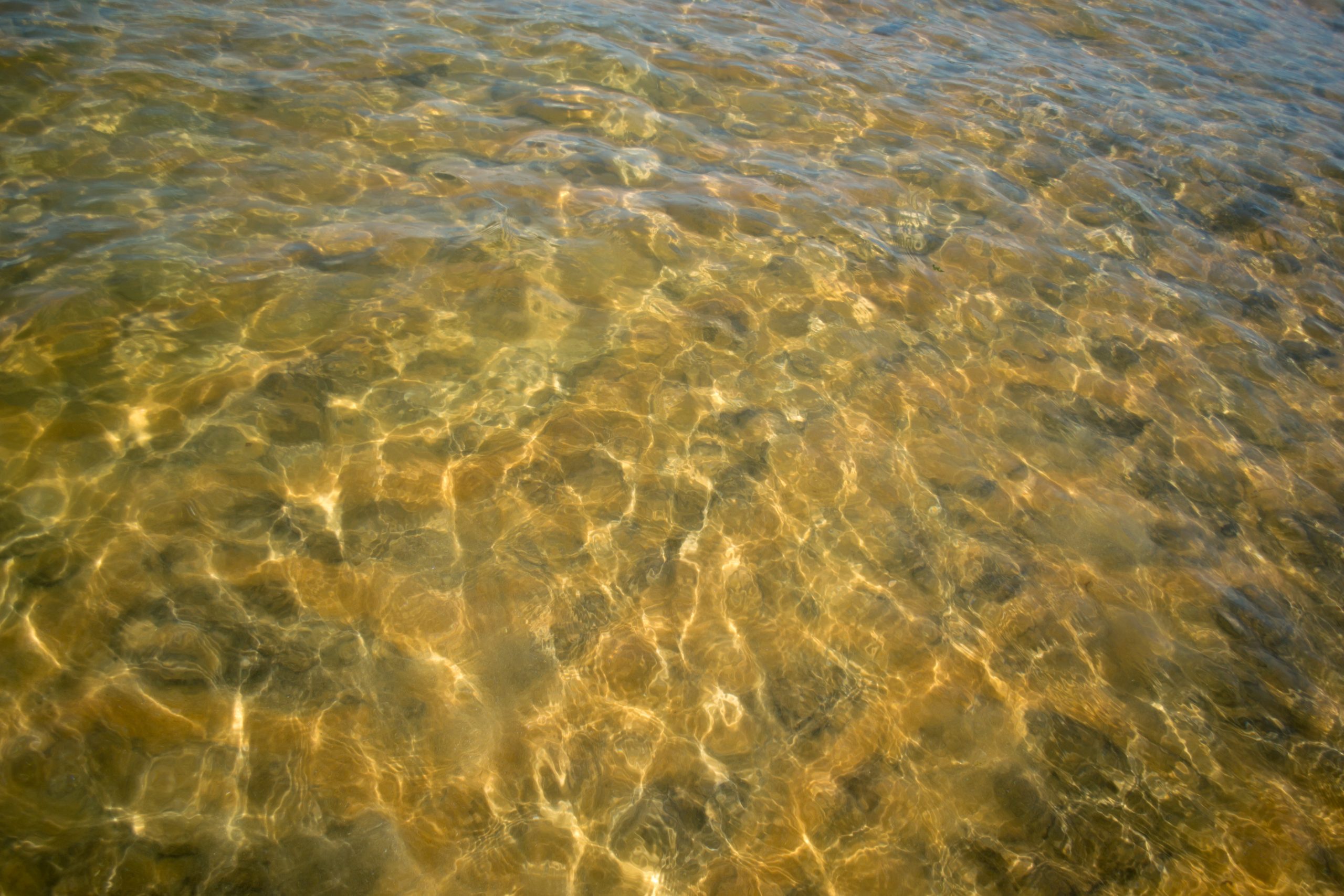 Golden reflection from water