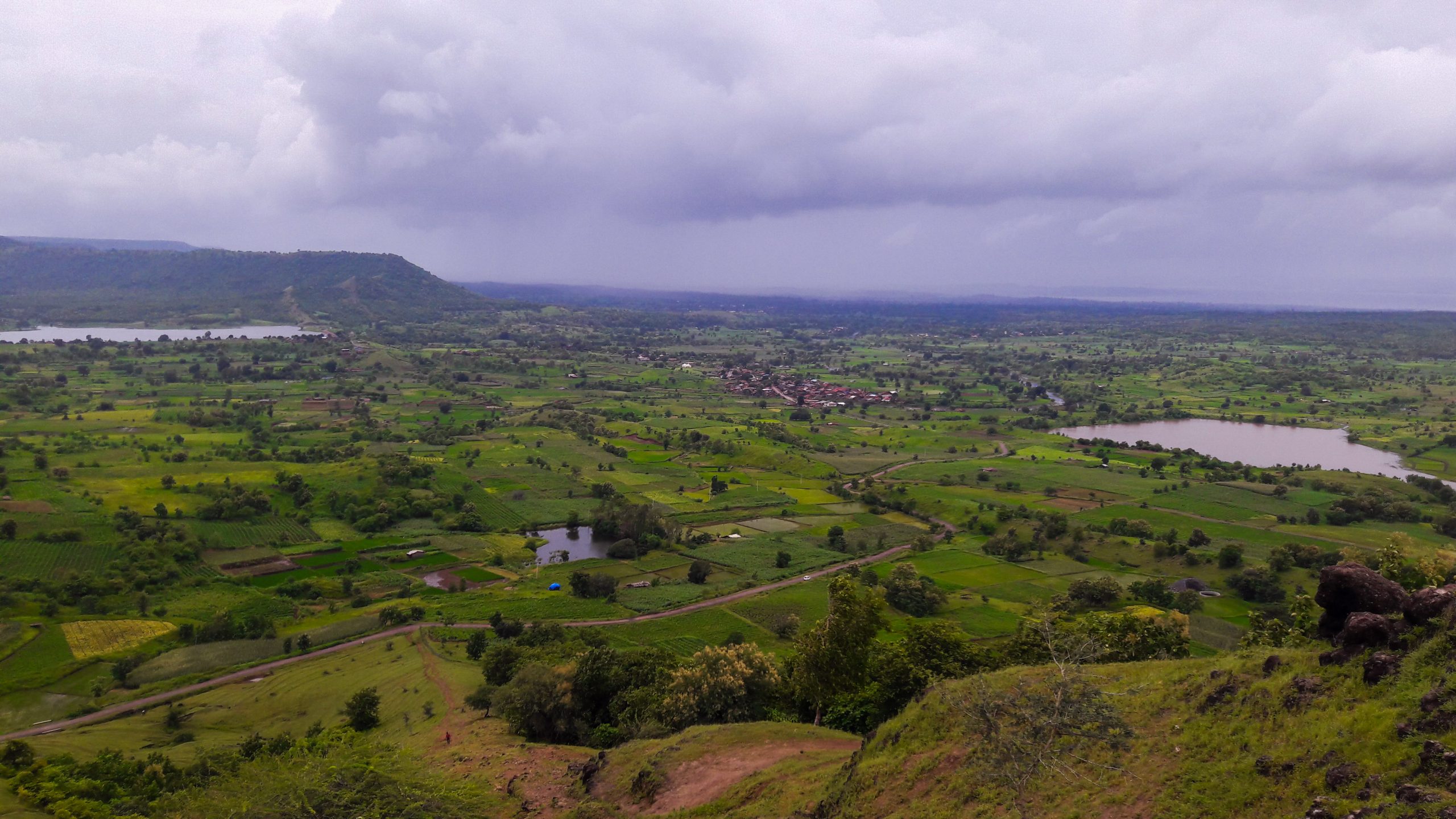 Greenery View