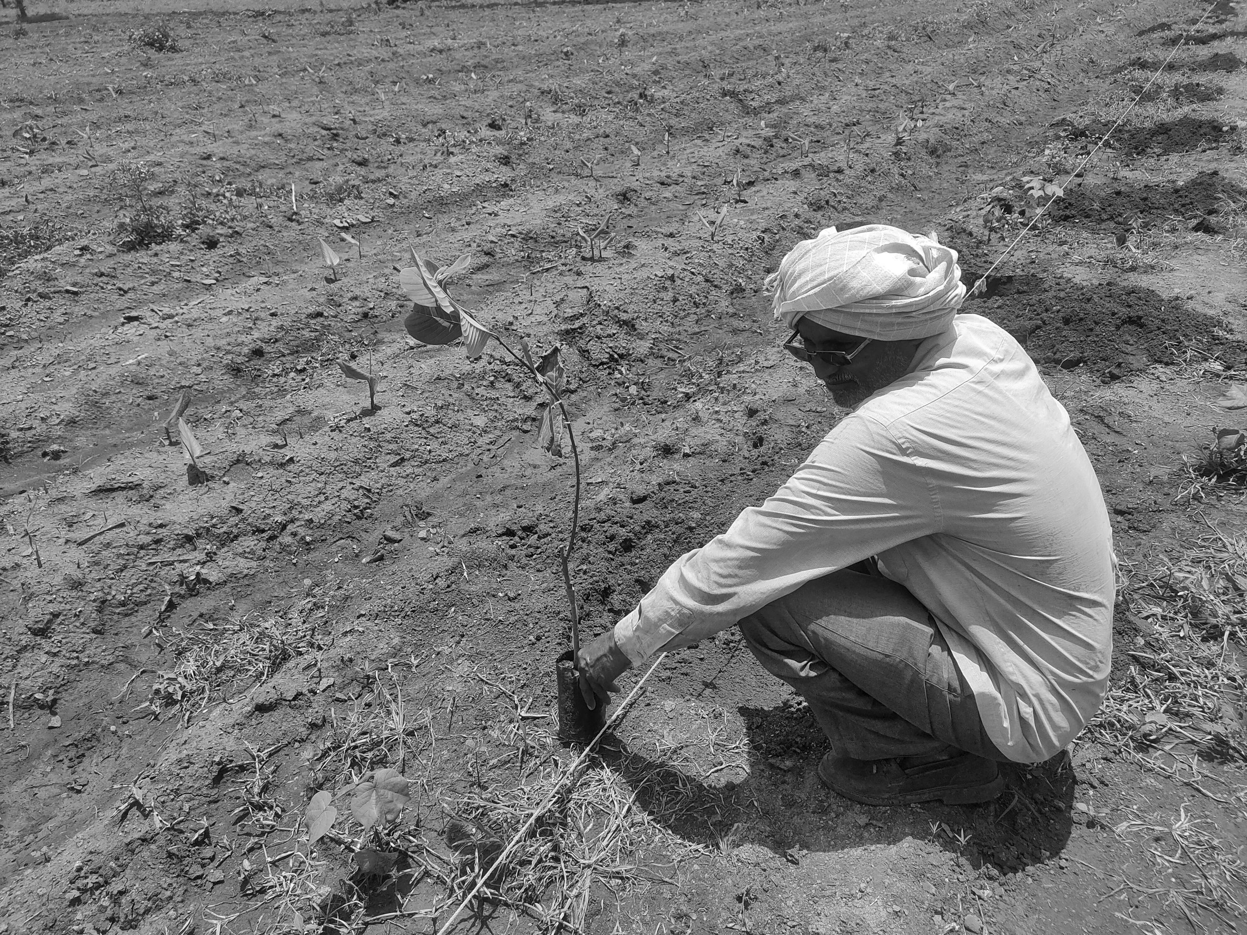 A farmer working in field