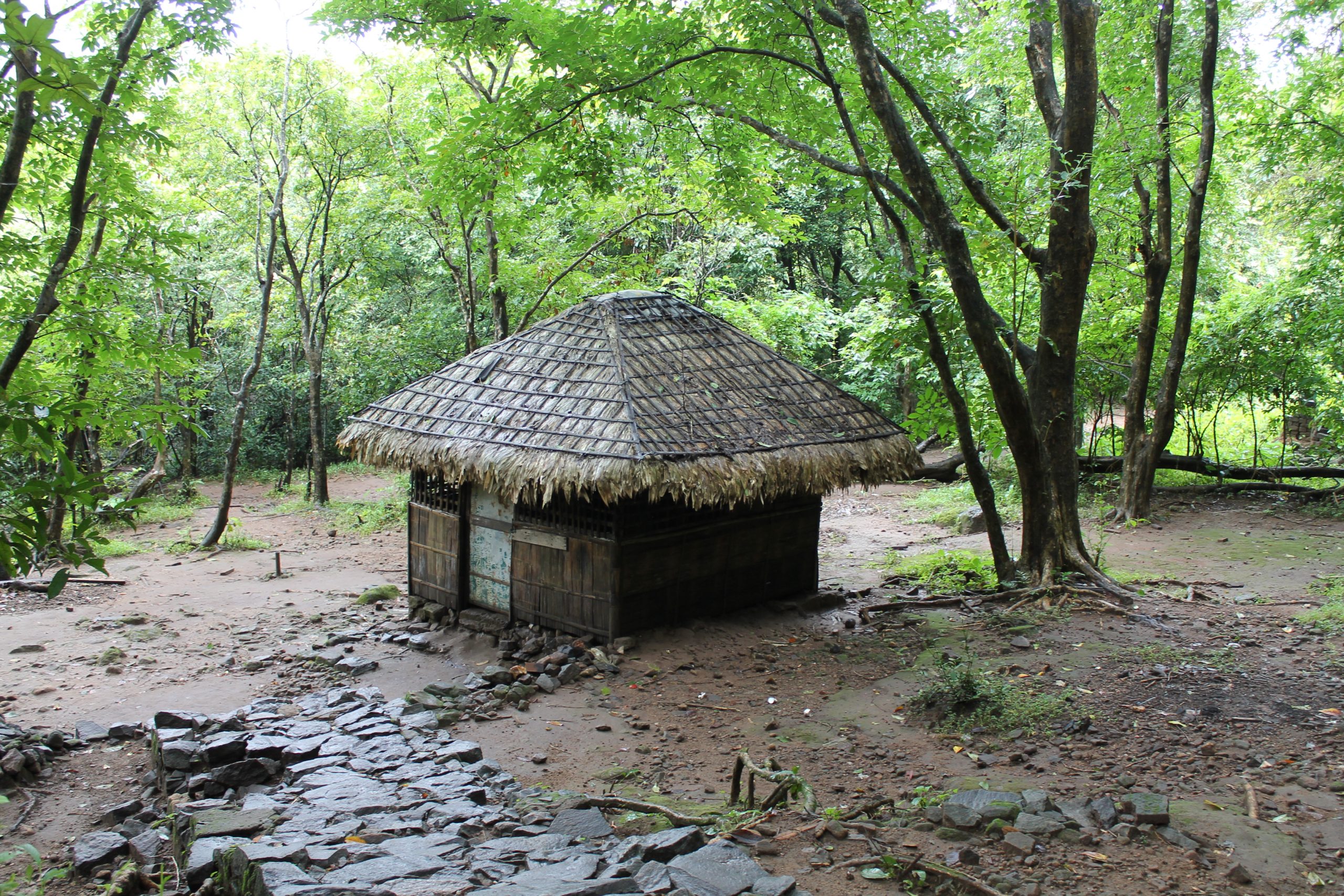 Hut in forest
