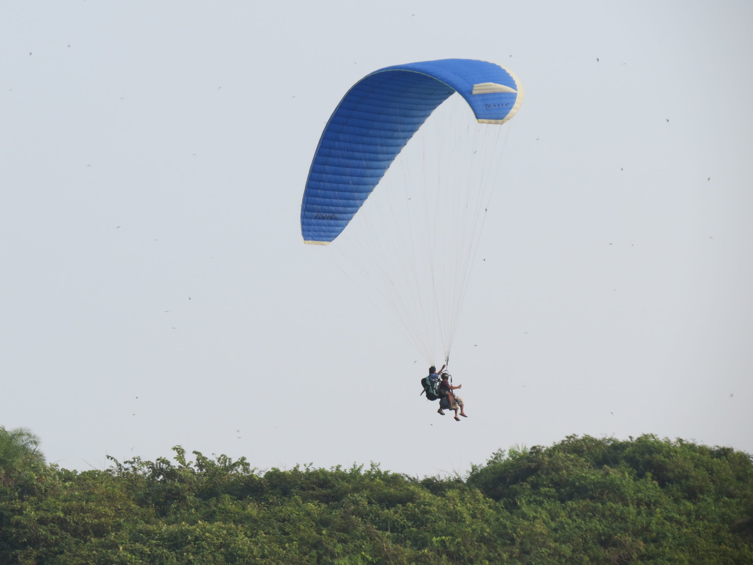 Paragliding adventure