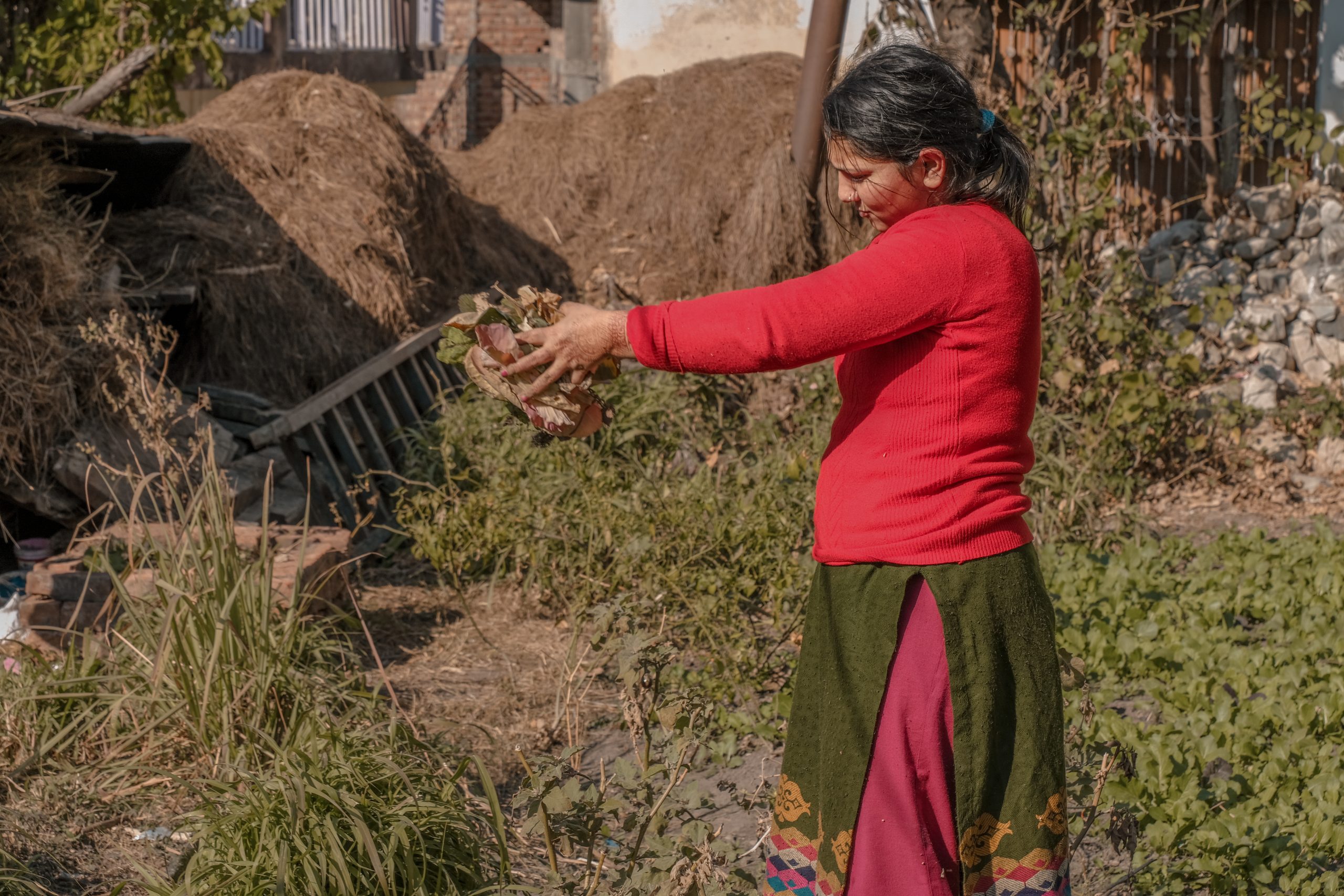 Indian lady farmer