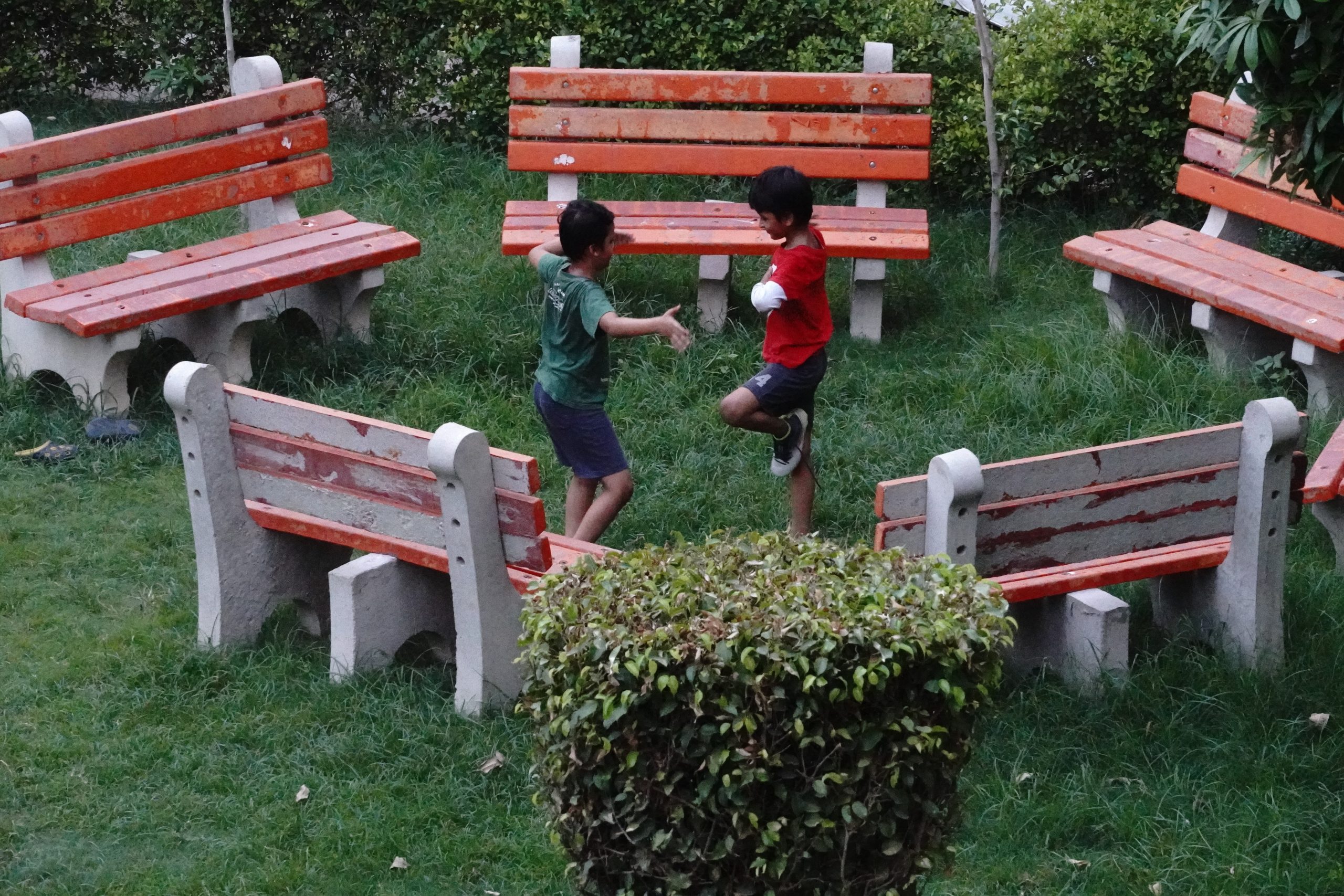 Kids in a park