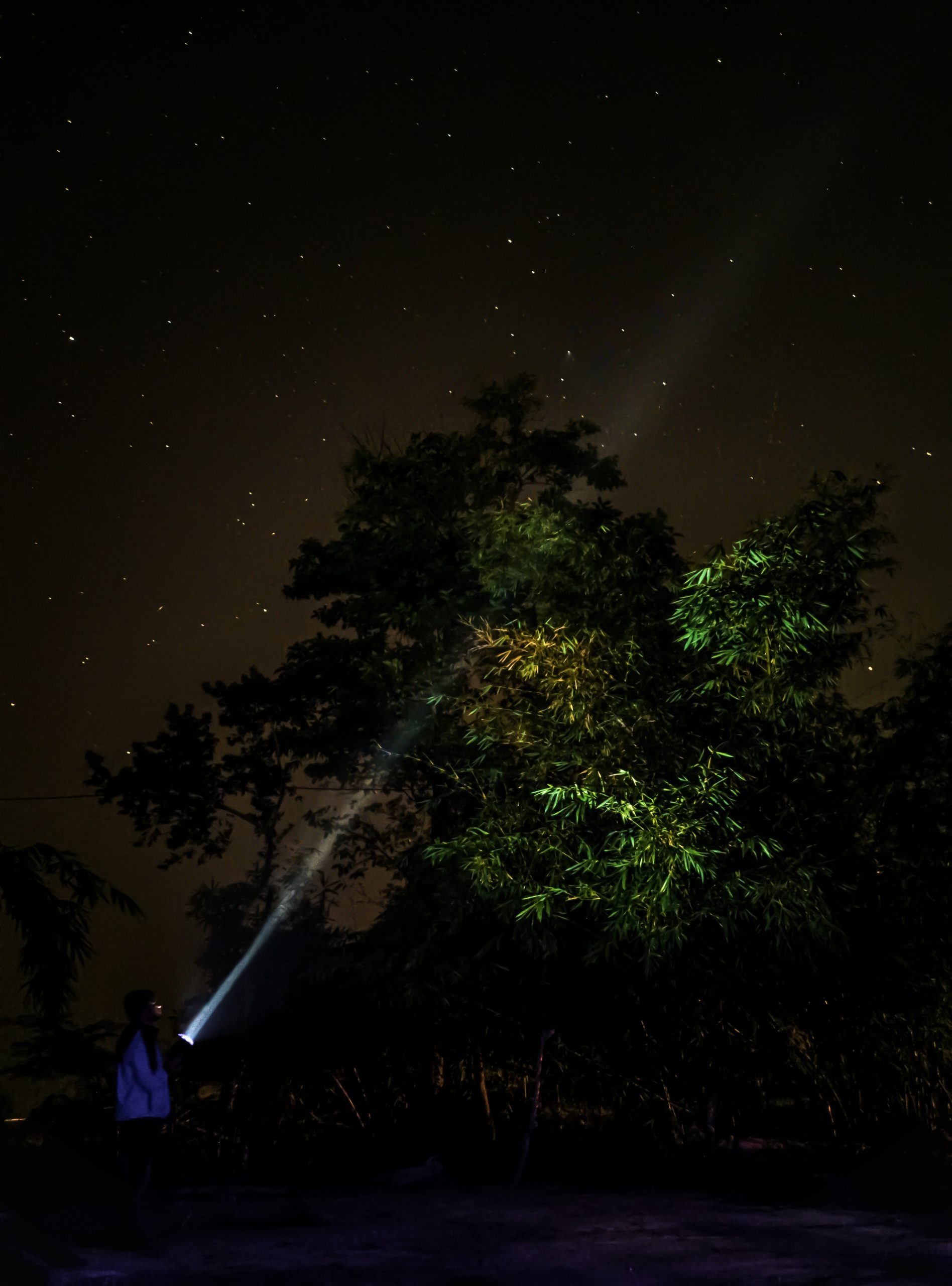 Torch light and nigh sky