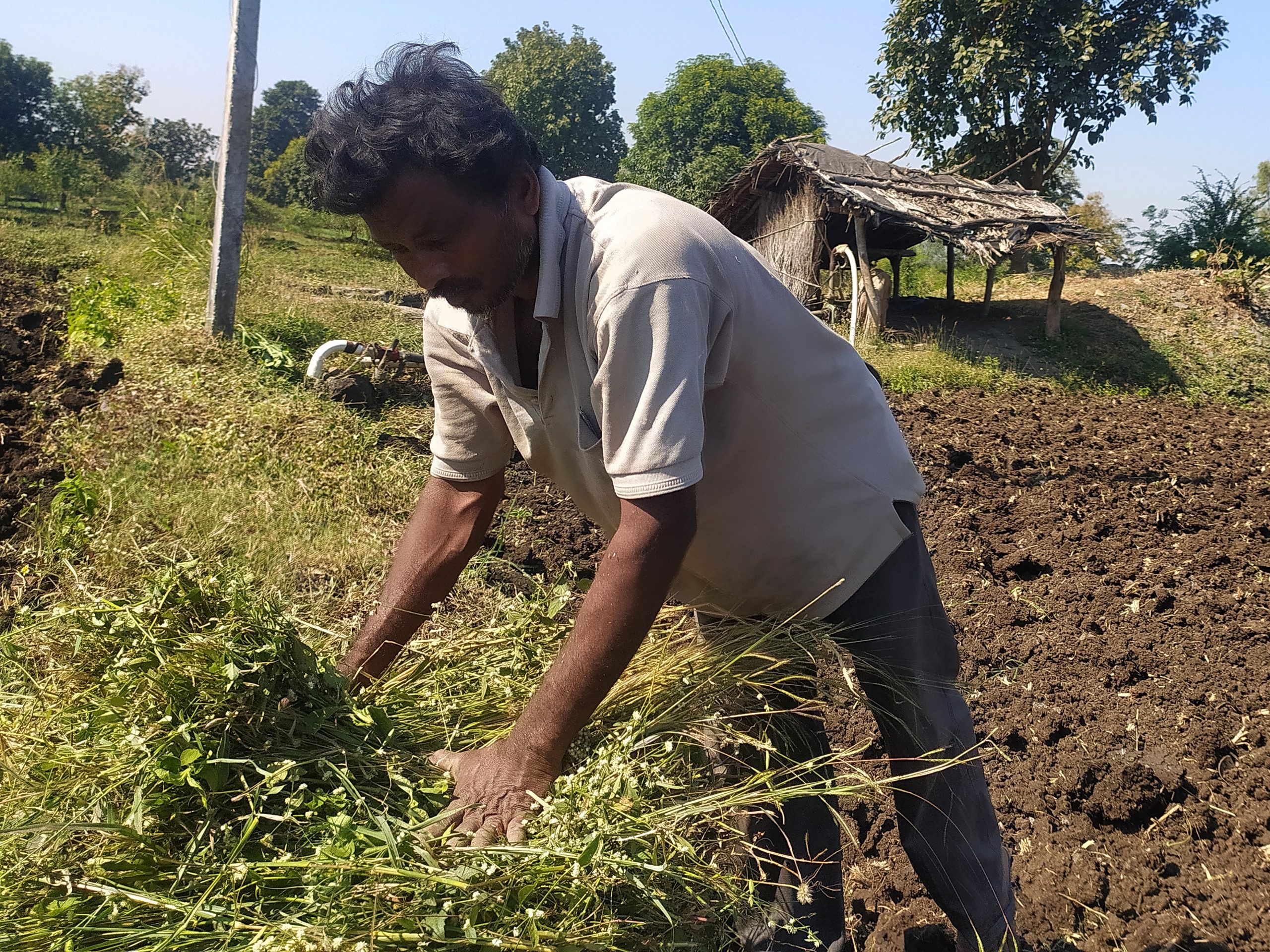 Farmer Working in Field