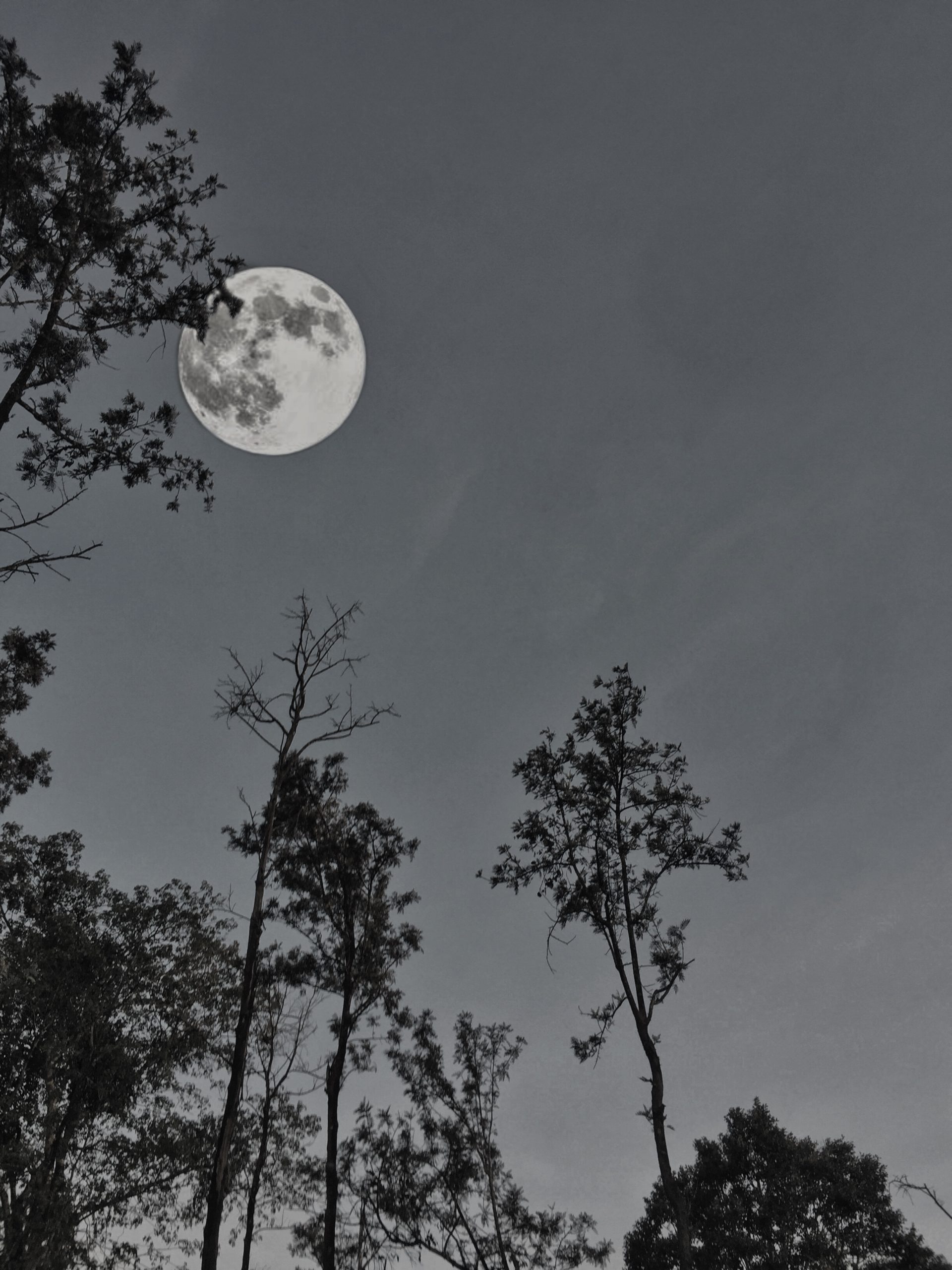 Moon during evening